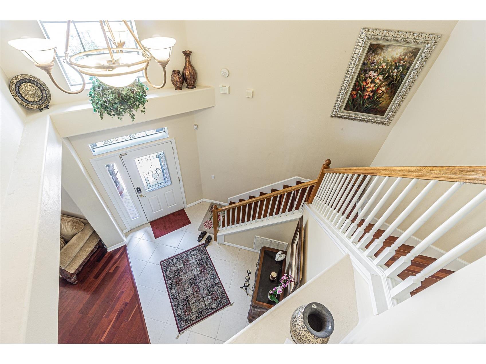 3356 Zack Drive Dunedin FL 34698 TB8506829 image37