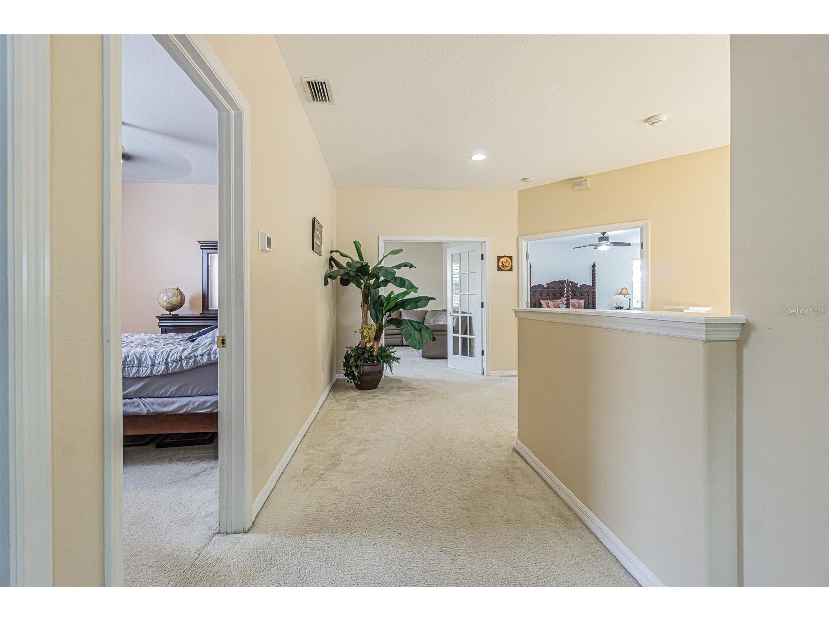 3356 Zack Drive Dunedin FL 34698 TB8506829 image38