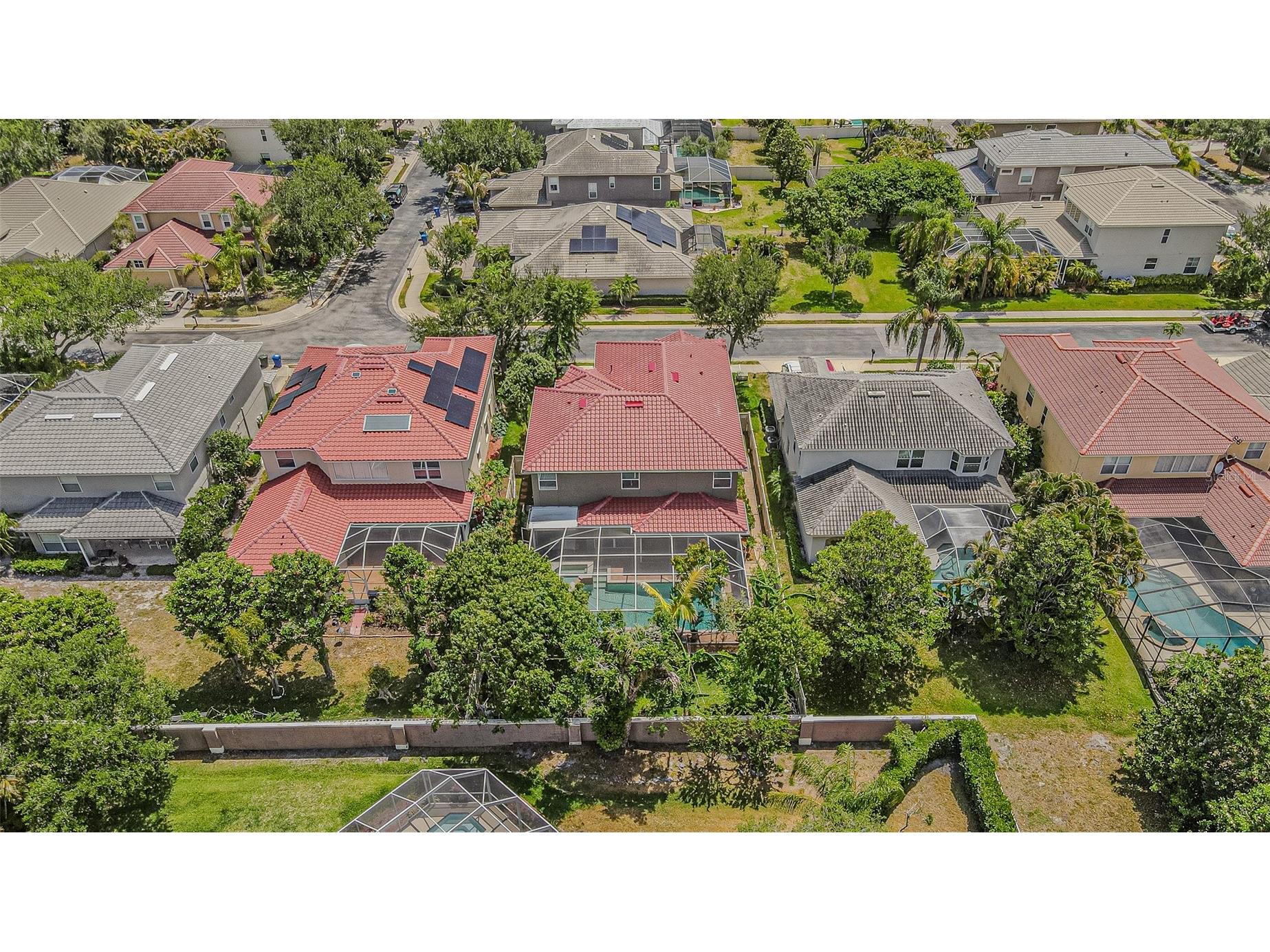 3356 Zack Drive Dunedin FL 34698 TB8506829 image4