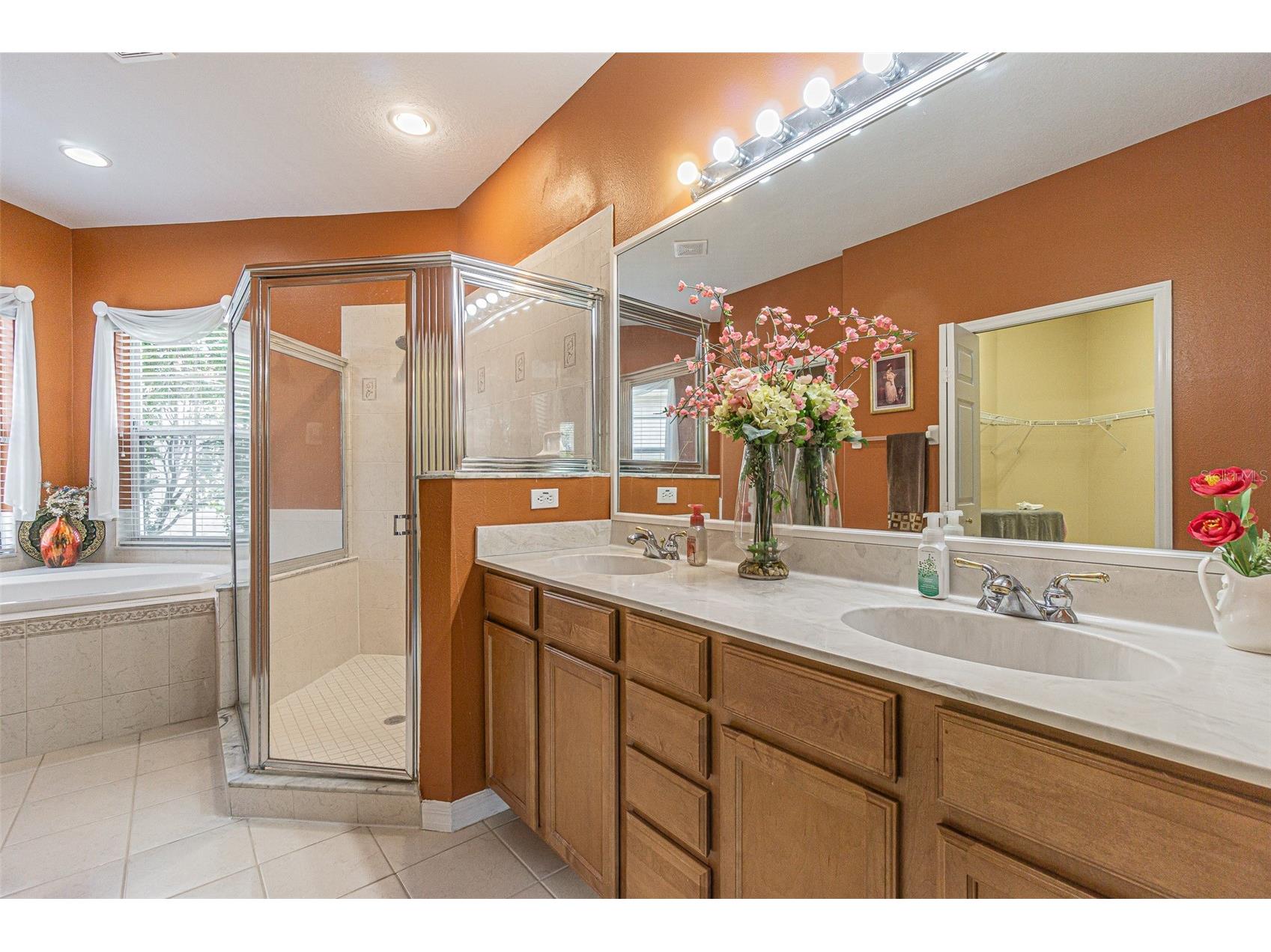 3356 Zack Drive Dunedin FL 34698 TB8506829 image41