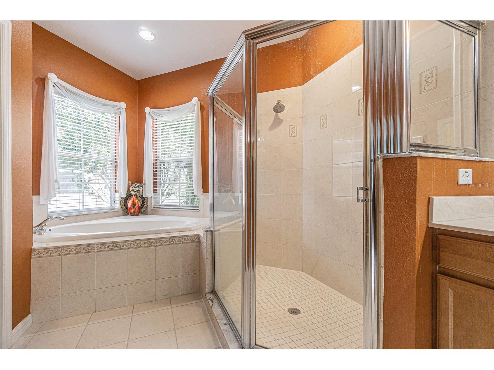 3356 Zack Drive Dunedin FL 34698 TB8506829 image42