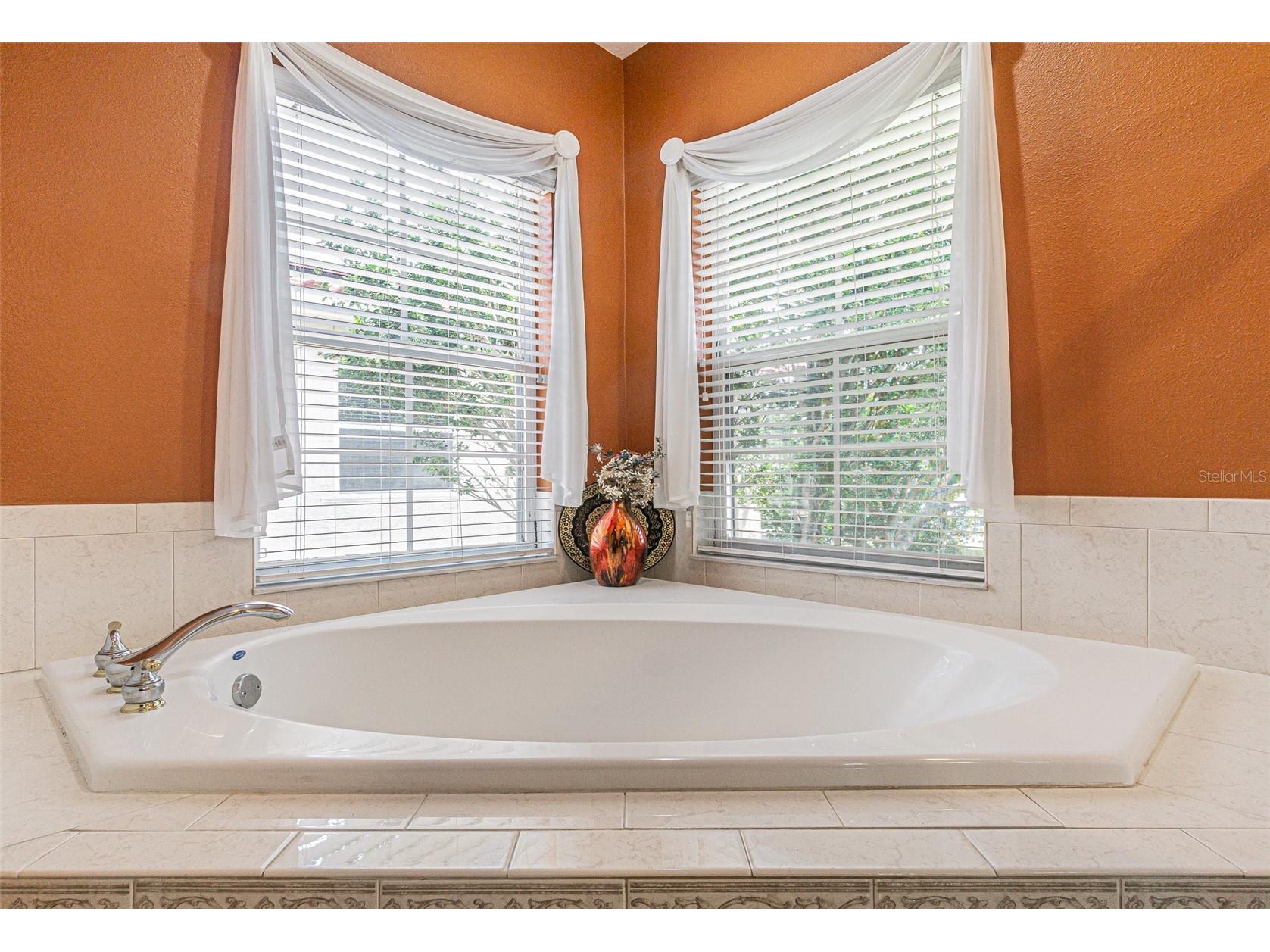 3356 Zack Drive Dunedin FL 34698 TB8506829 image43