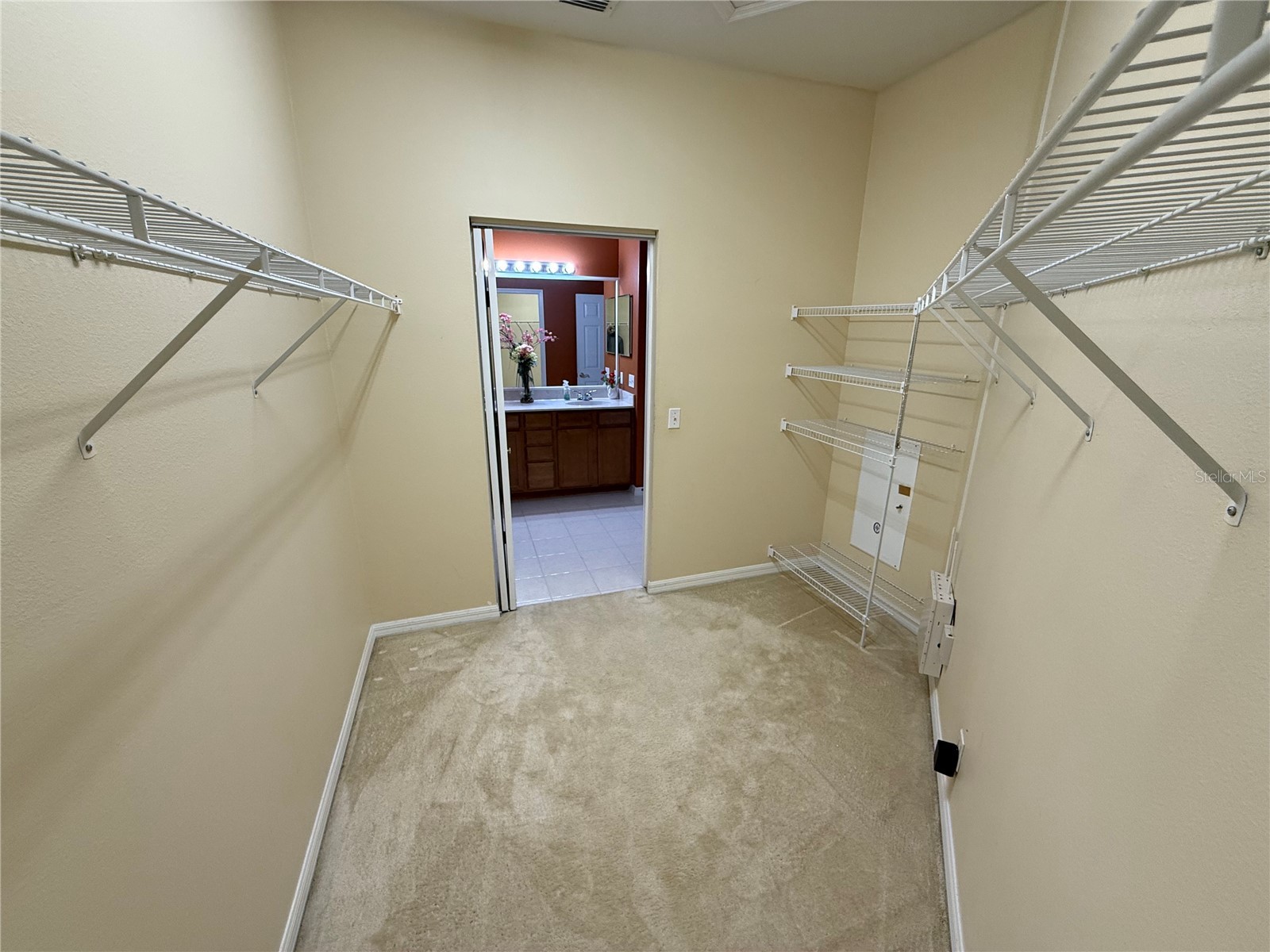 3356 Zack Drive Dunedin FL 34698 TB8506829 image45