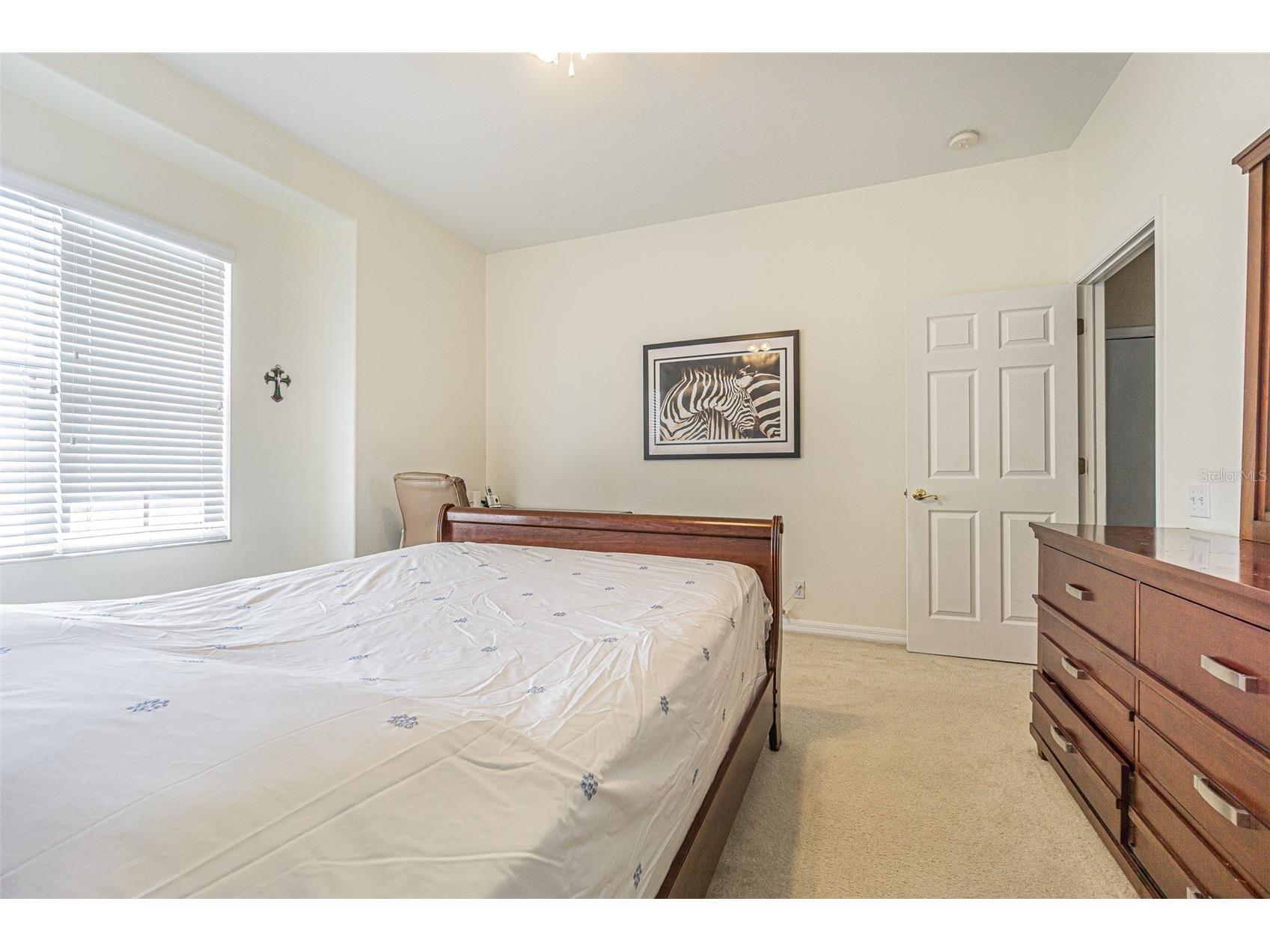 3356 Zack Drive Dunedin FL 34698 TB8506829 image48