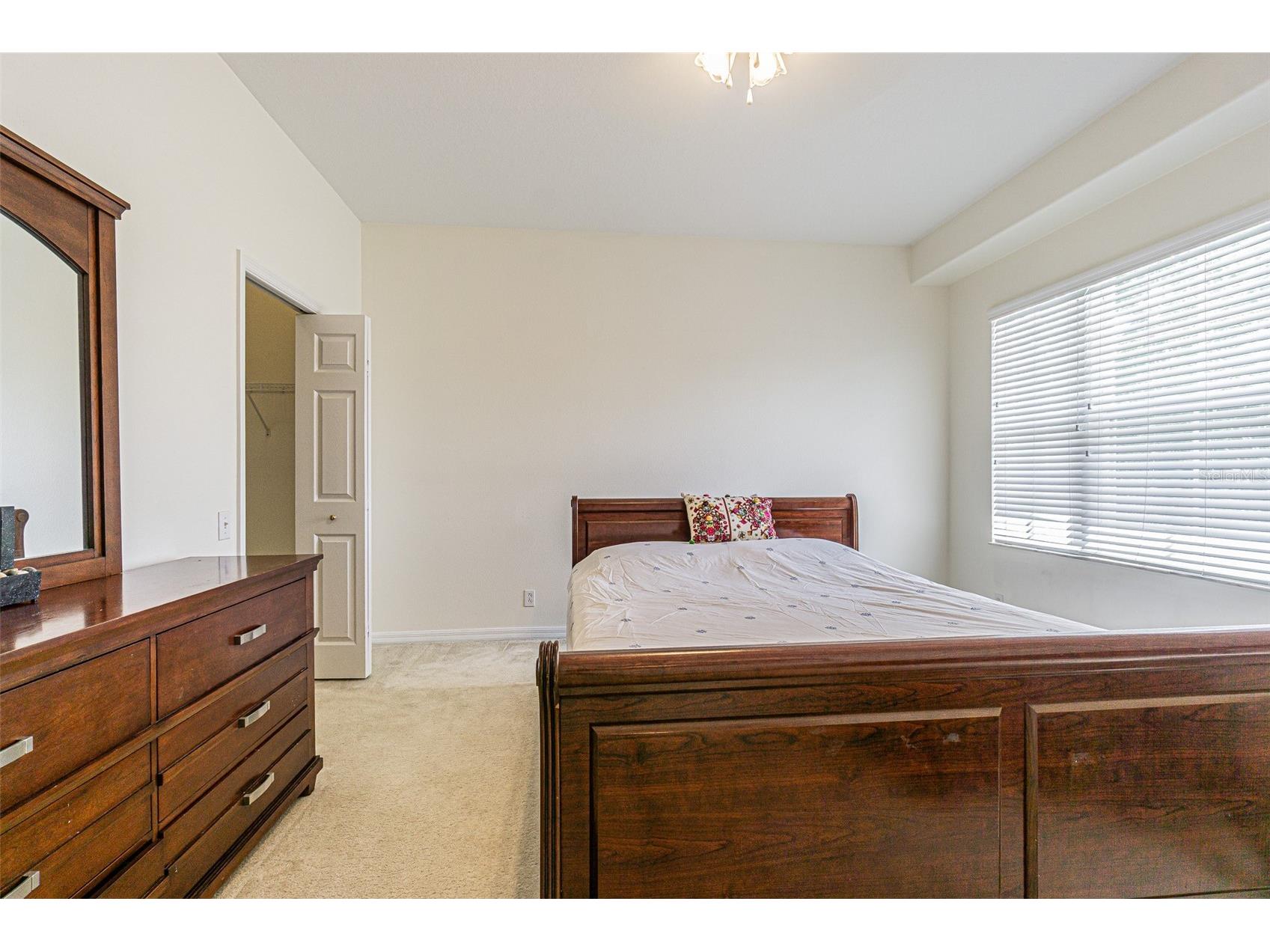 3356 Zack Drive Dunedin FL 34698 TB8506829 image49