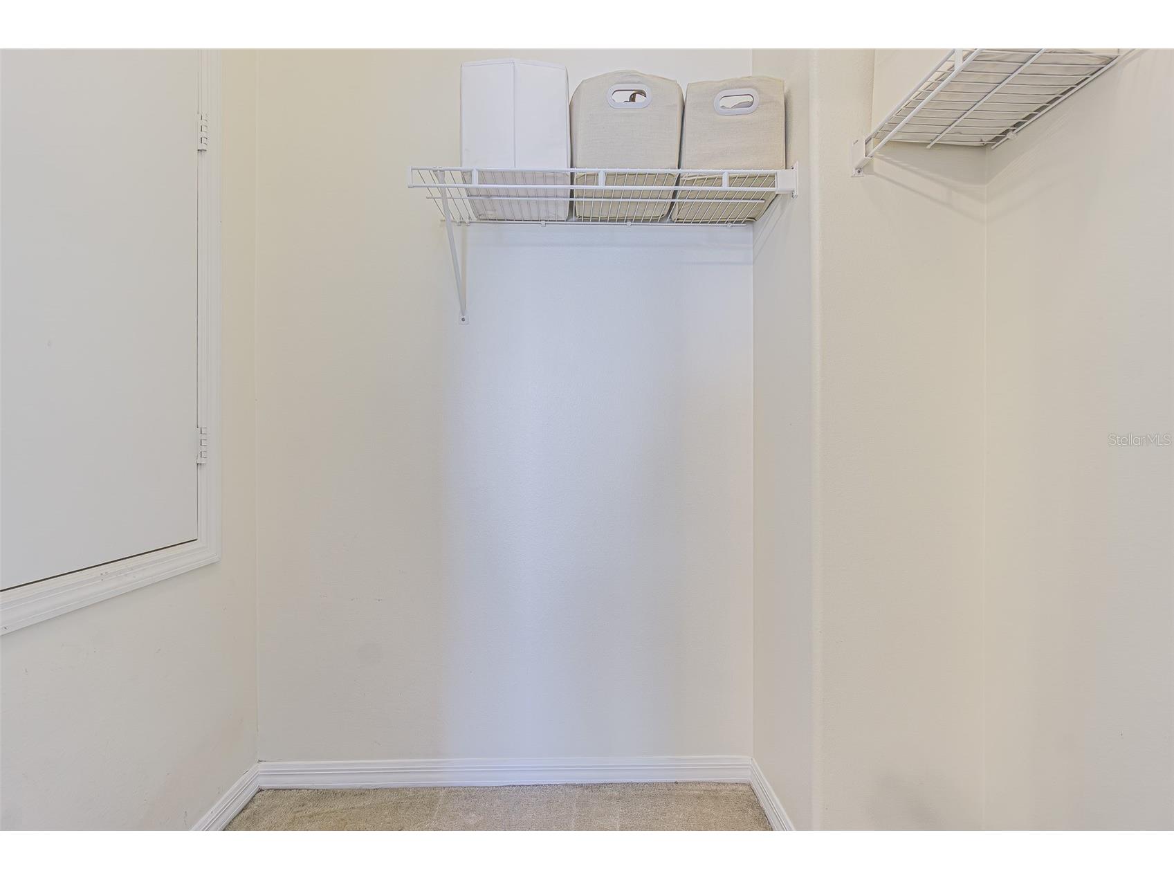 3356 Zack Drive Dunedin FL 34698 TB8506829 image50