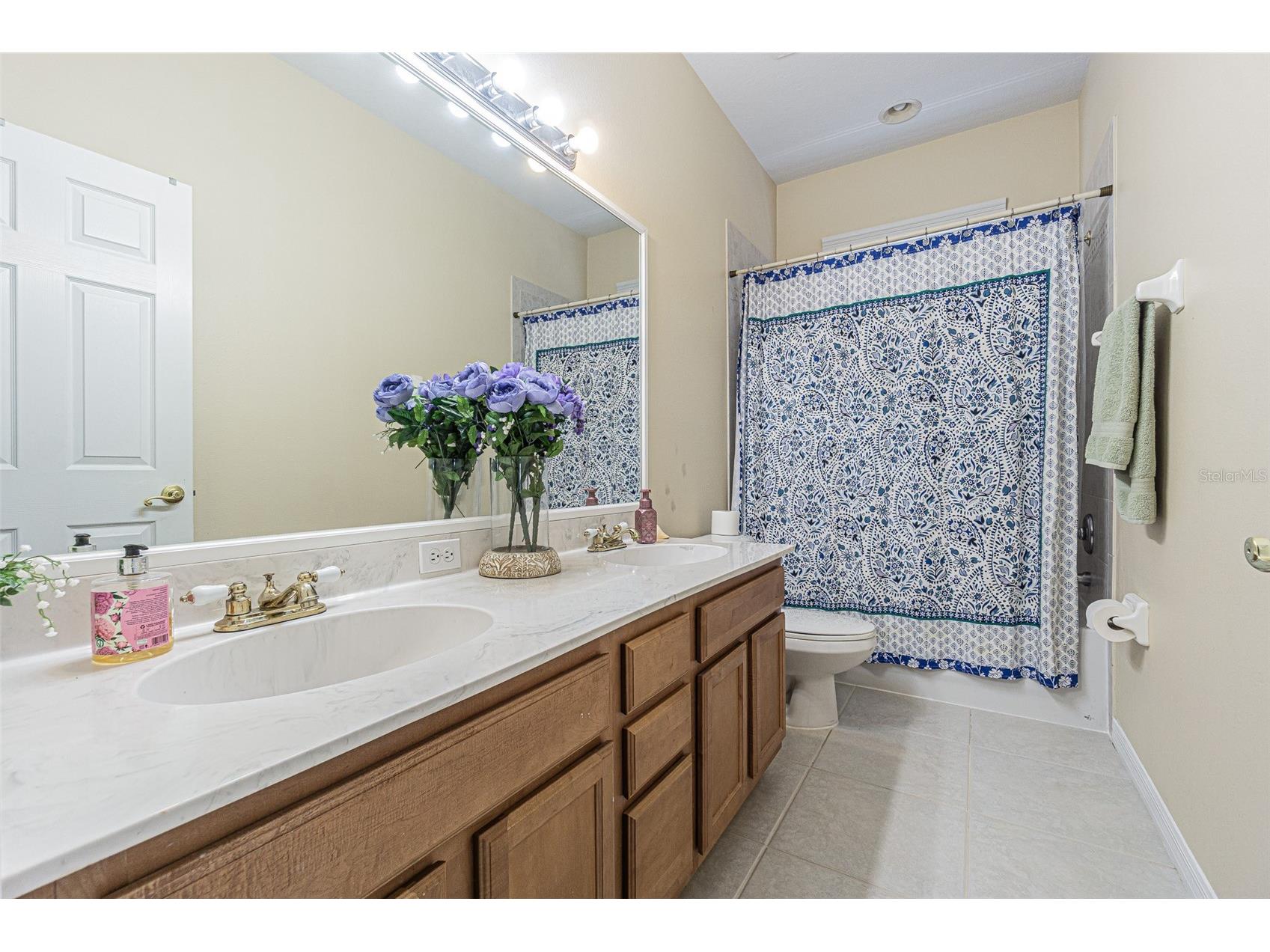 3356 Zack Drive Dunedin FL 34698 TB8506829 image52
