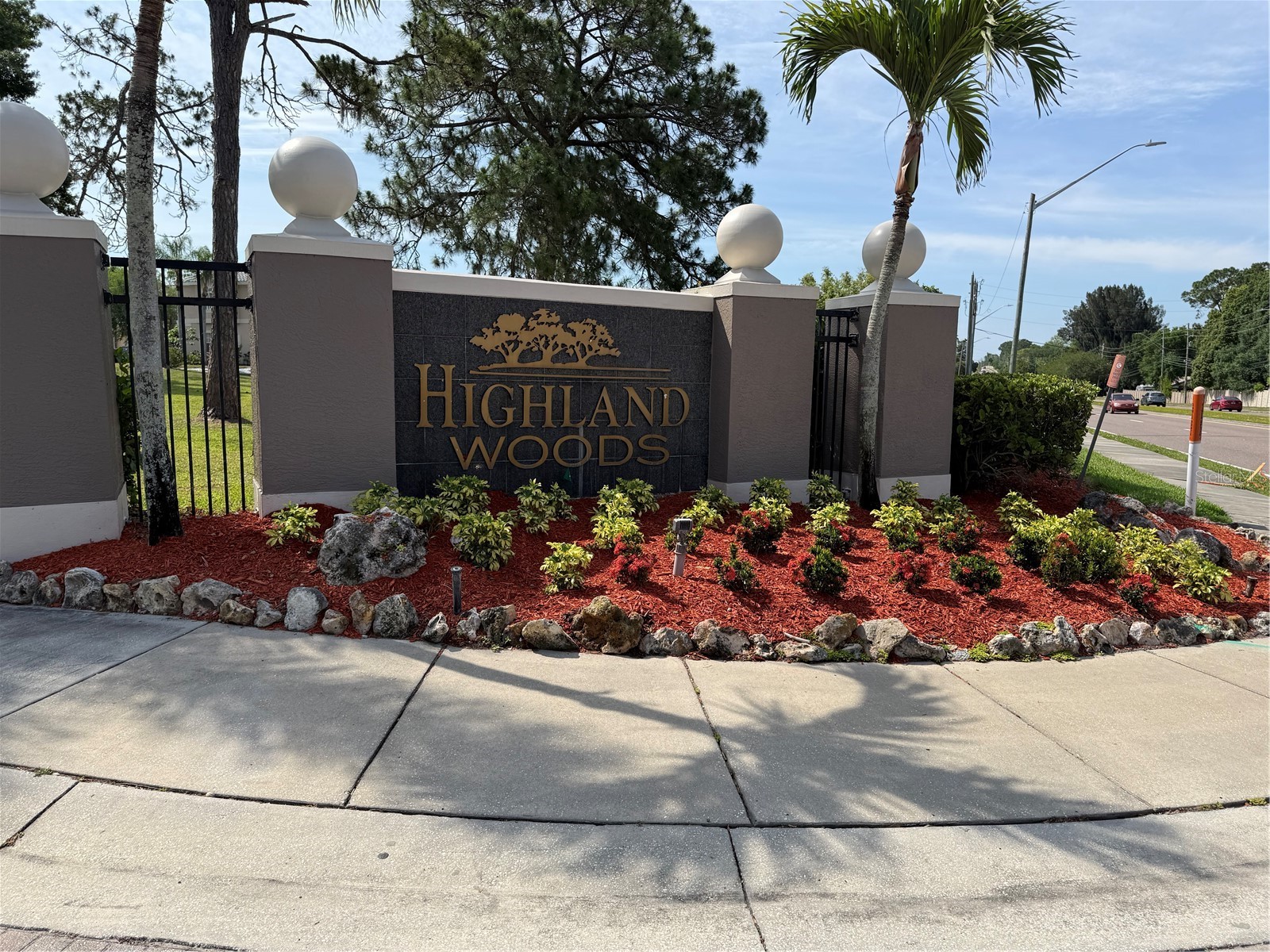 3356 Zack Drive Dunedin FL 34698 TB8506829 image6