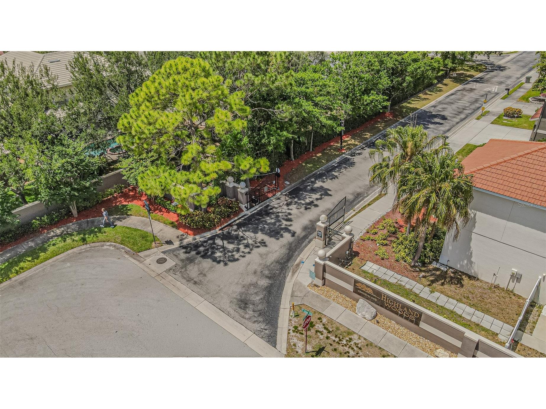 3356 Zack Drive Dunedin FL 34698 TB8506829 image7