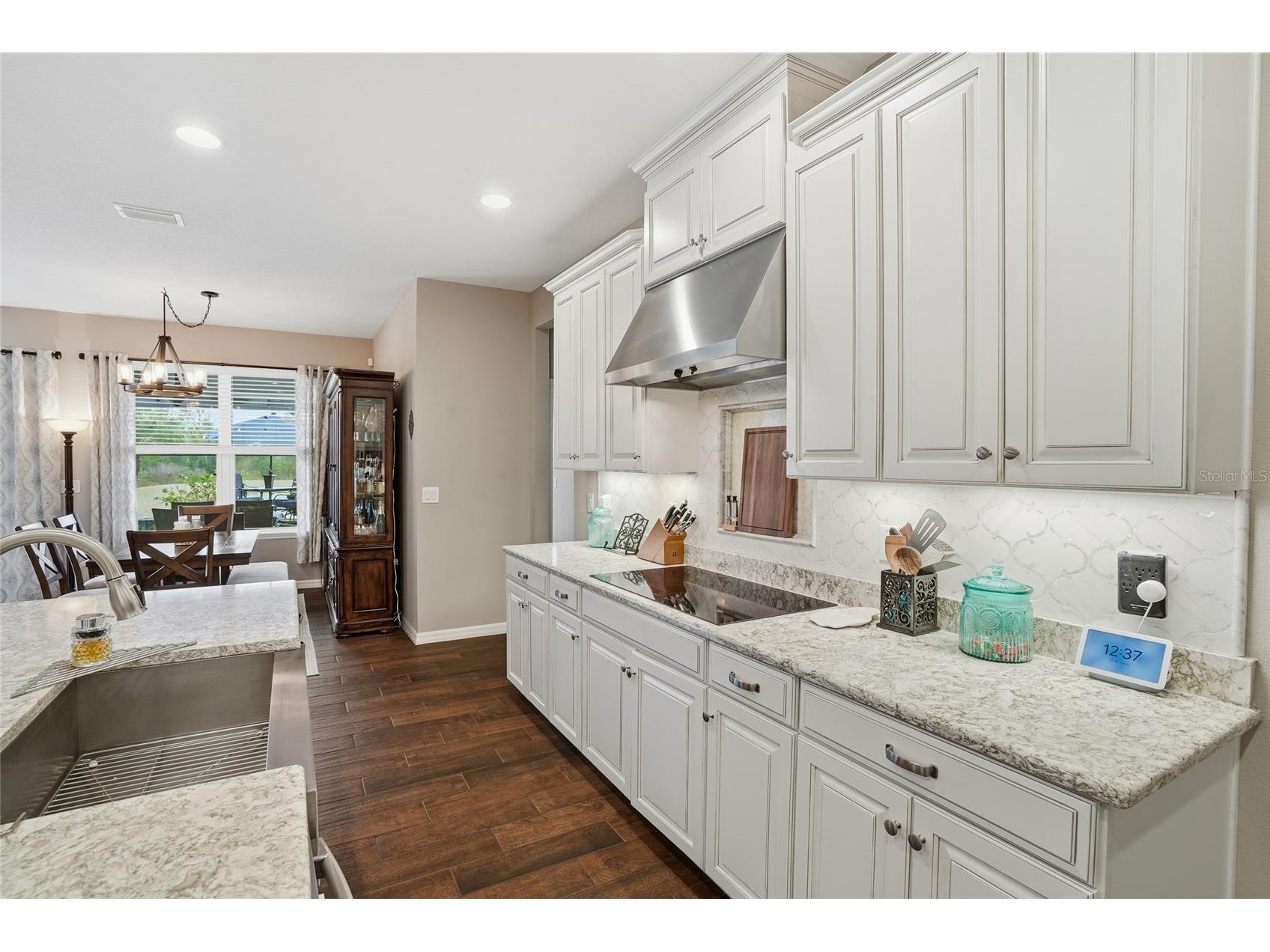 33564 Willow Point Court Wesley Chapel FL 33545 - POND TB8469746 image19