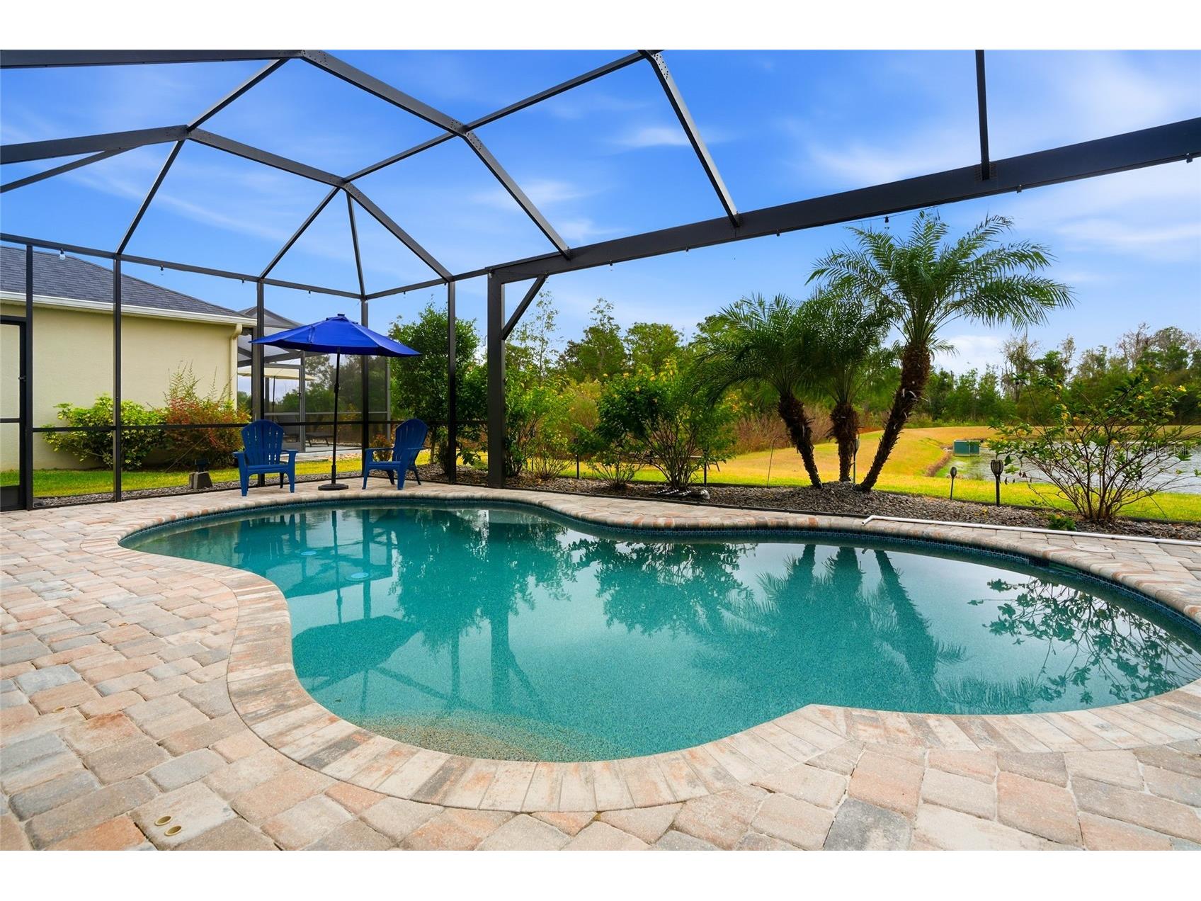 33564 Willow Point Court Wesley Chapel FL 33545 - POND TB8469746 image2