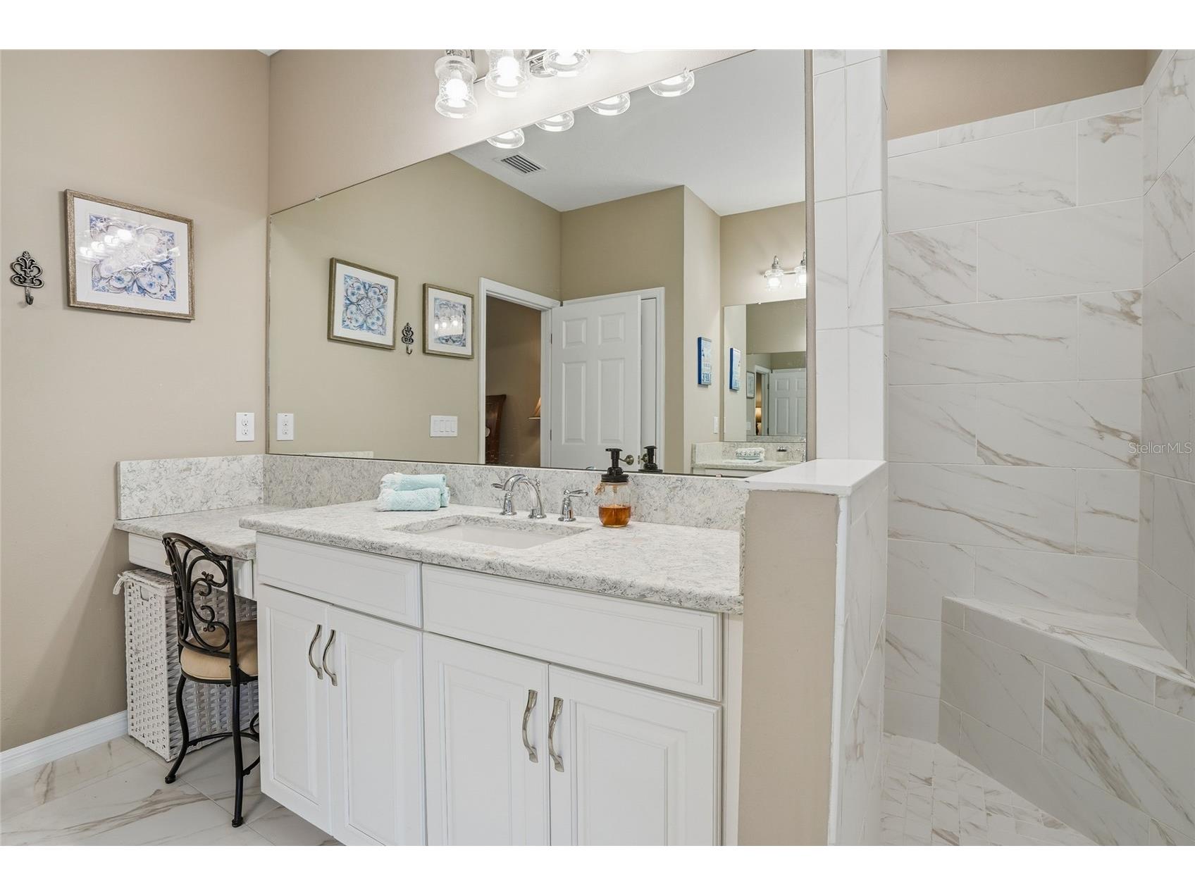 33564 Willow Point Court Wesley Chapel FL 33545 - POND TB8469746 image29