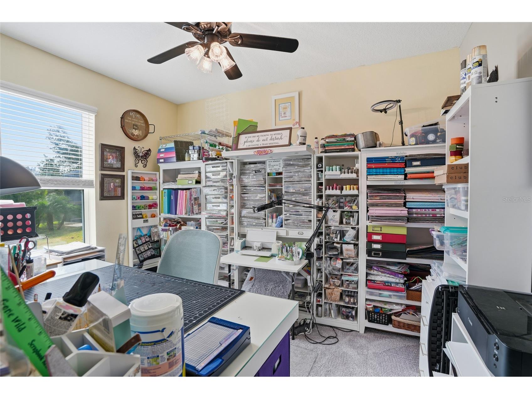 33564 Willow Point Court Wesley Chapel FL 33545 - POND TB8469746 image32