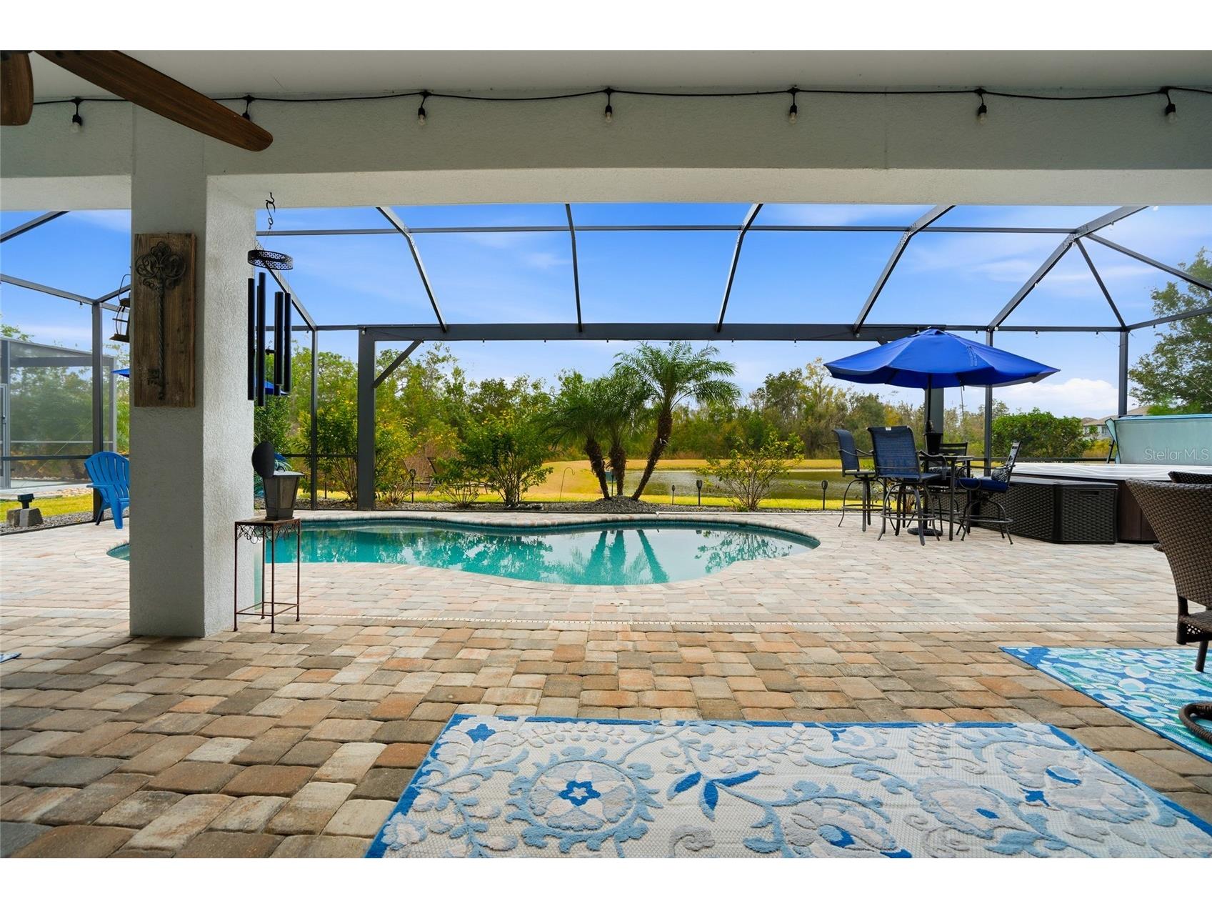 33564 Willow Point Court Wesley Chapel FL 33545 - POND TB8469746 image35