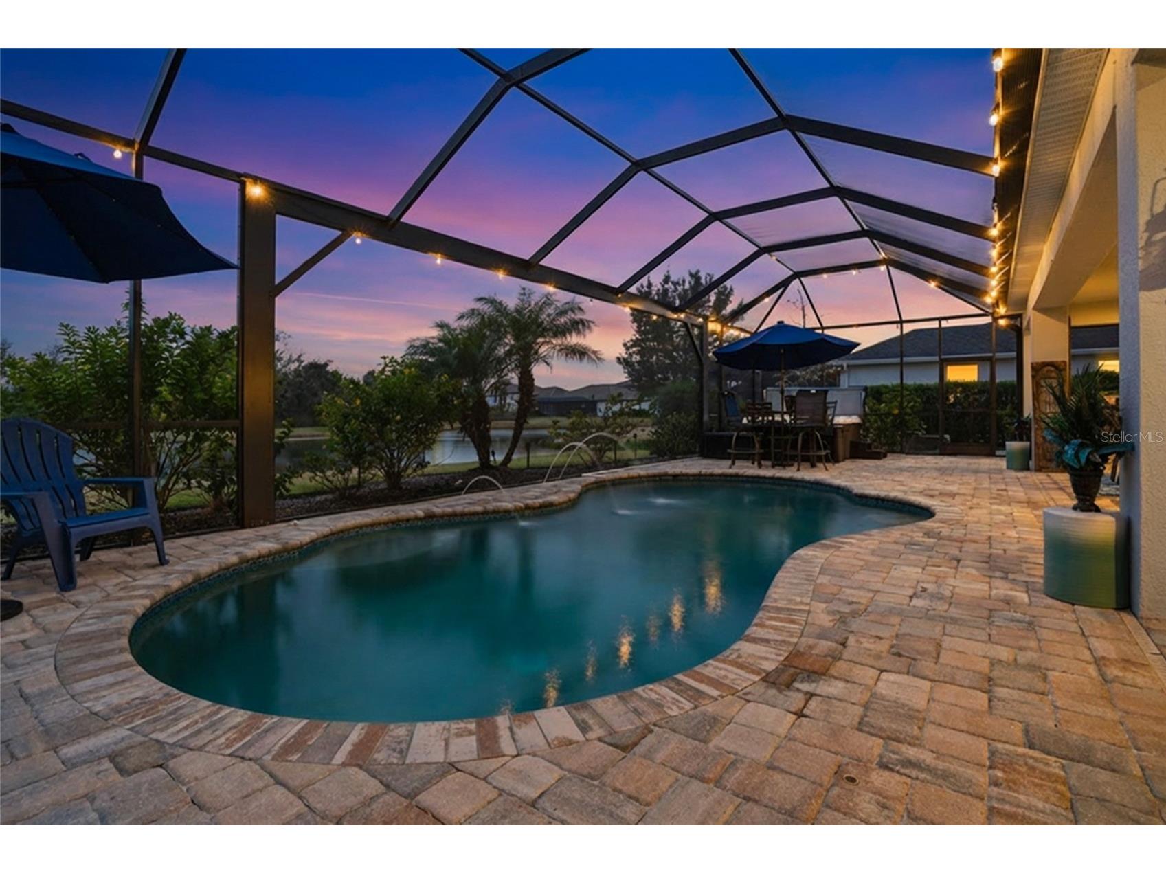 33564 Willow Point Court Wesley Chapel FL 33545 - POND TB8469746 image37