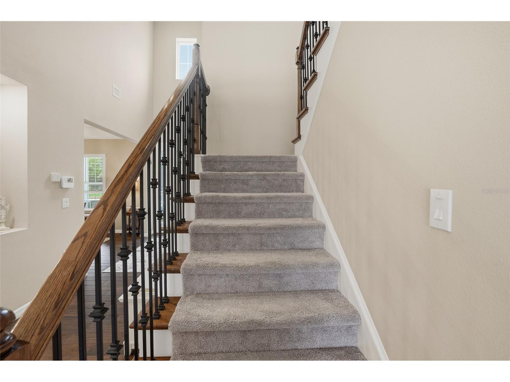 33564 Willow Point Court Wesley Chapel FL 33545 - POND TB8469746 image39