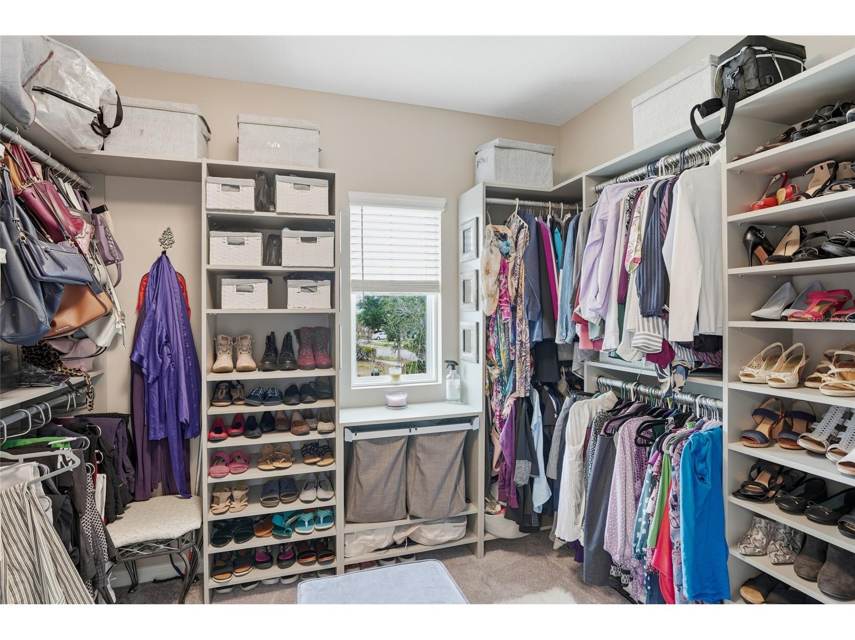 33564 Willow Point Court Wesley Chapel FL 33545 - POND TB8469746 image47