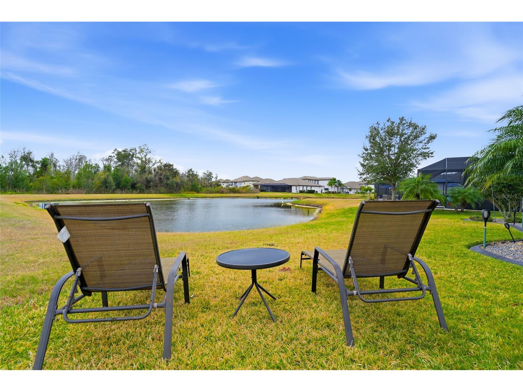 33564 Willow Point Court Wesley Chapel FL 33545 - POND TB8469746 image5