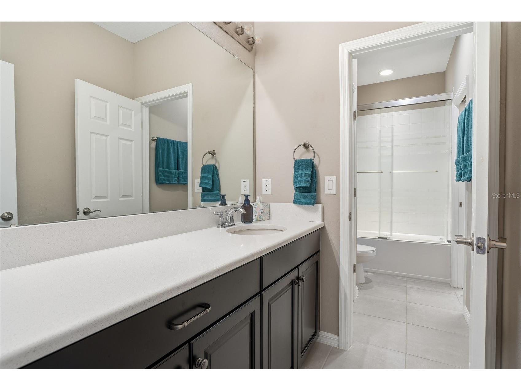 33564 Willow Point Court Wesley Chapel FL 33545 - POND TB8469746 image53