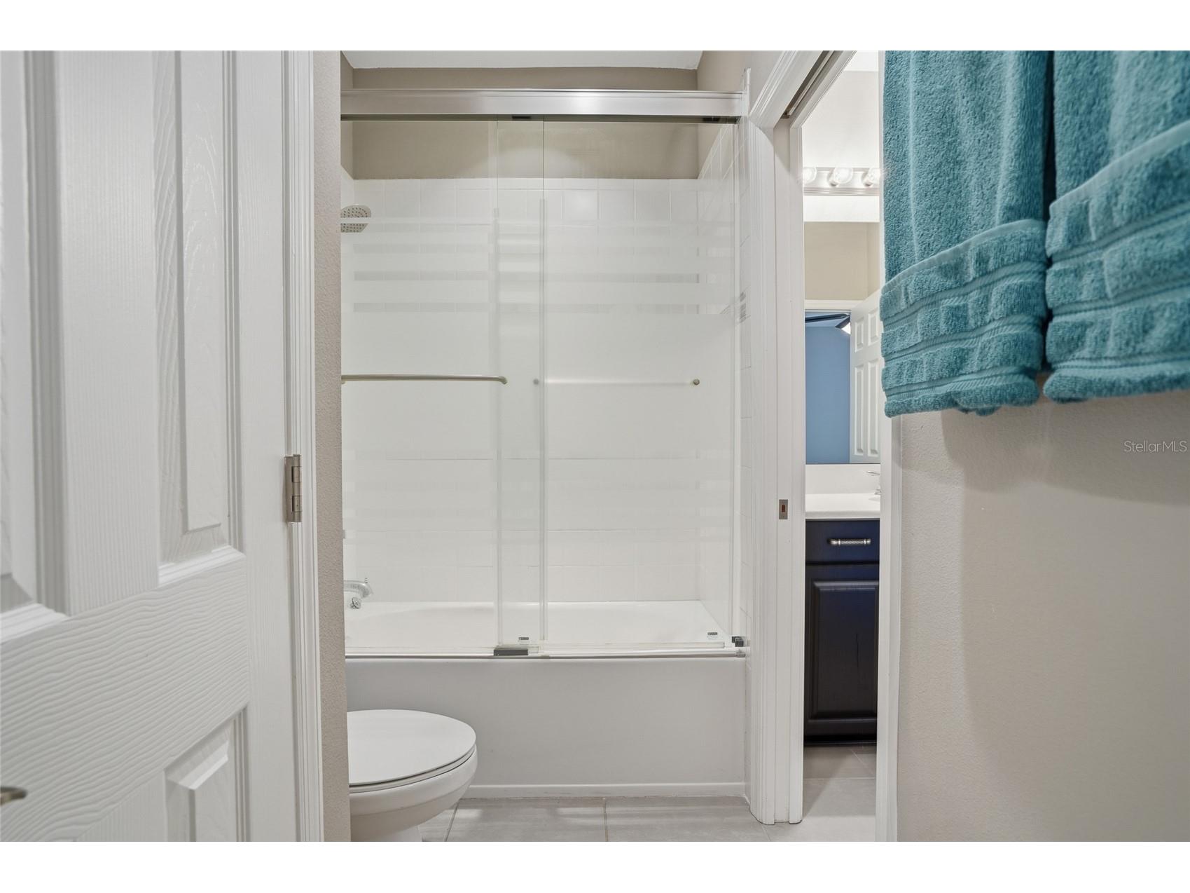 33564 Willow Point Court Wesley Chapel FL 33545 - POND TB8469746 image54