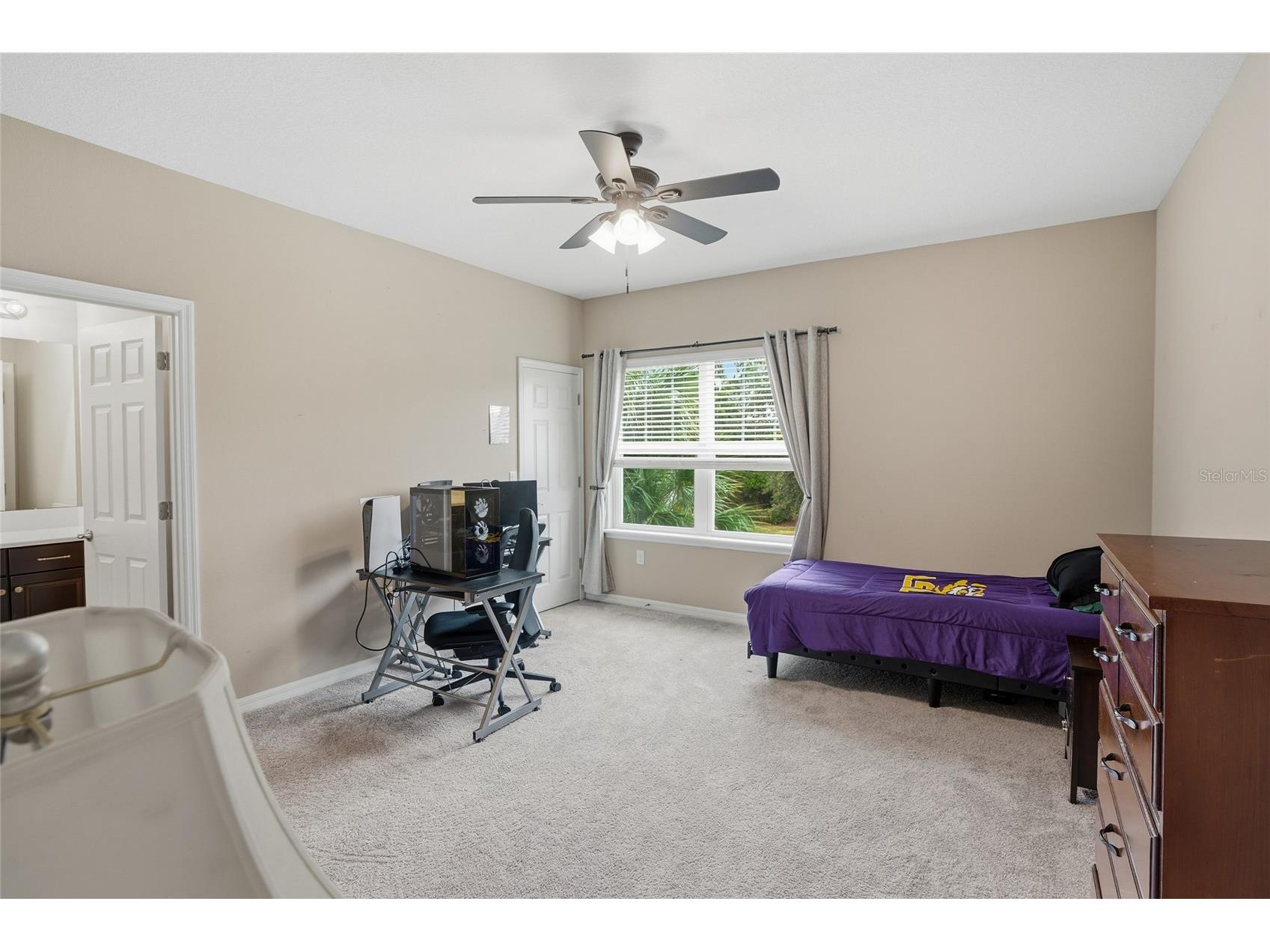 33564 Willow Point Court Wesley Chapel FL 33545 - POND TB8469746 image56