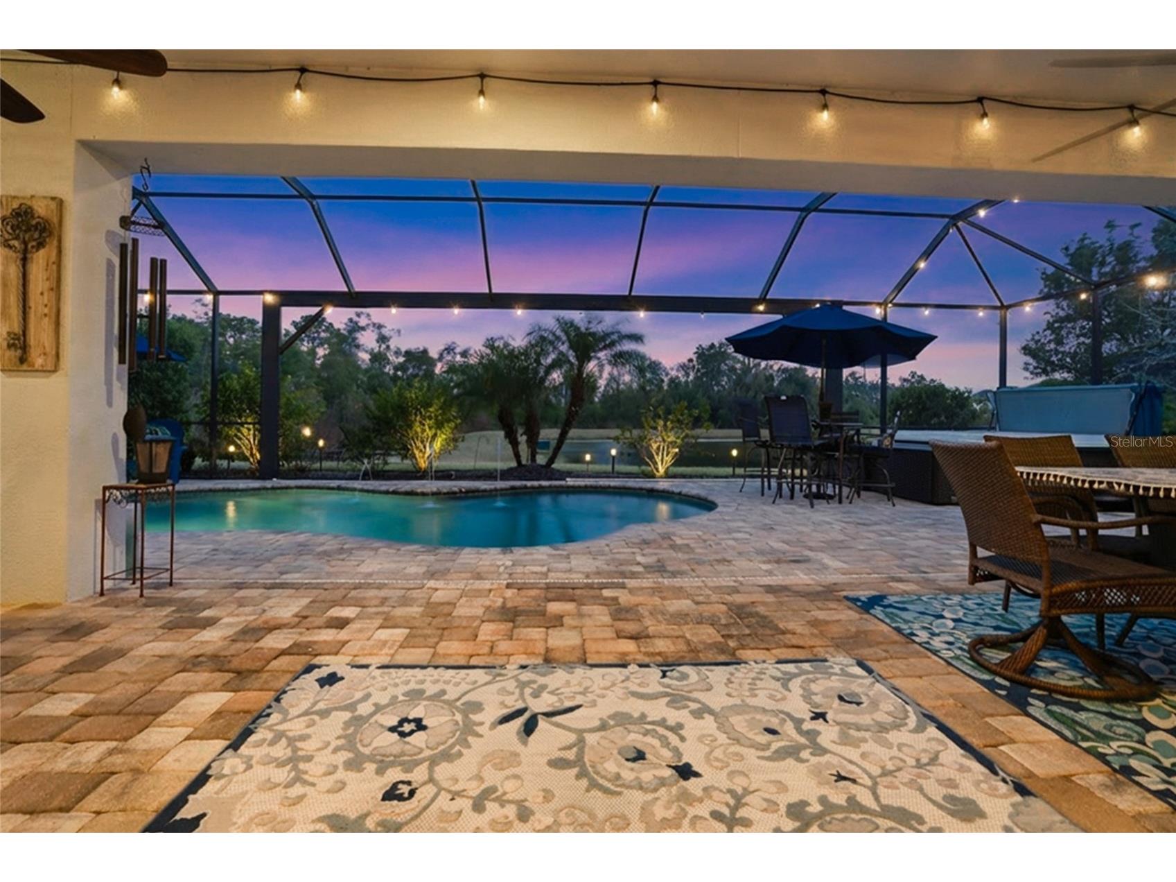 33564 Willow Point Court Wesley Chapel FL 33545 - POND TB8469746 image57