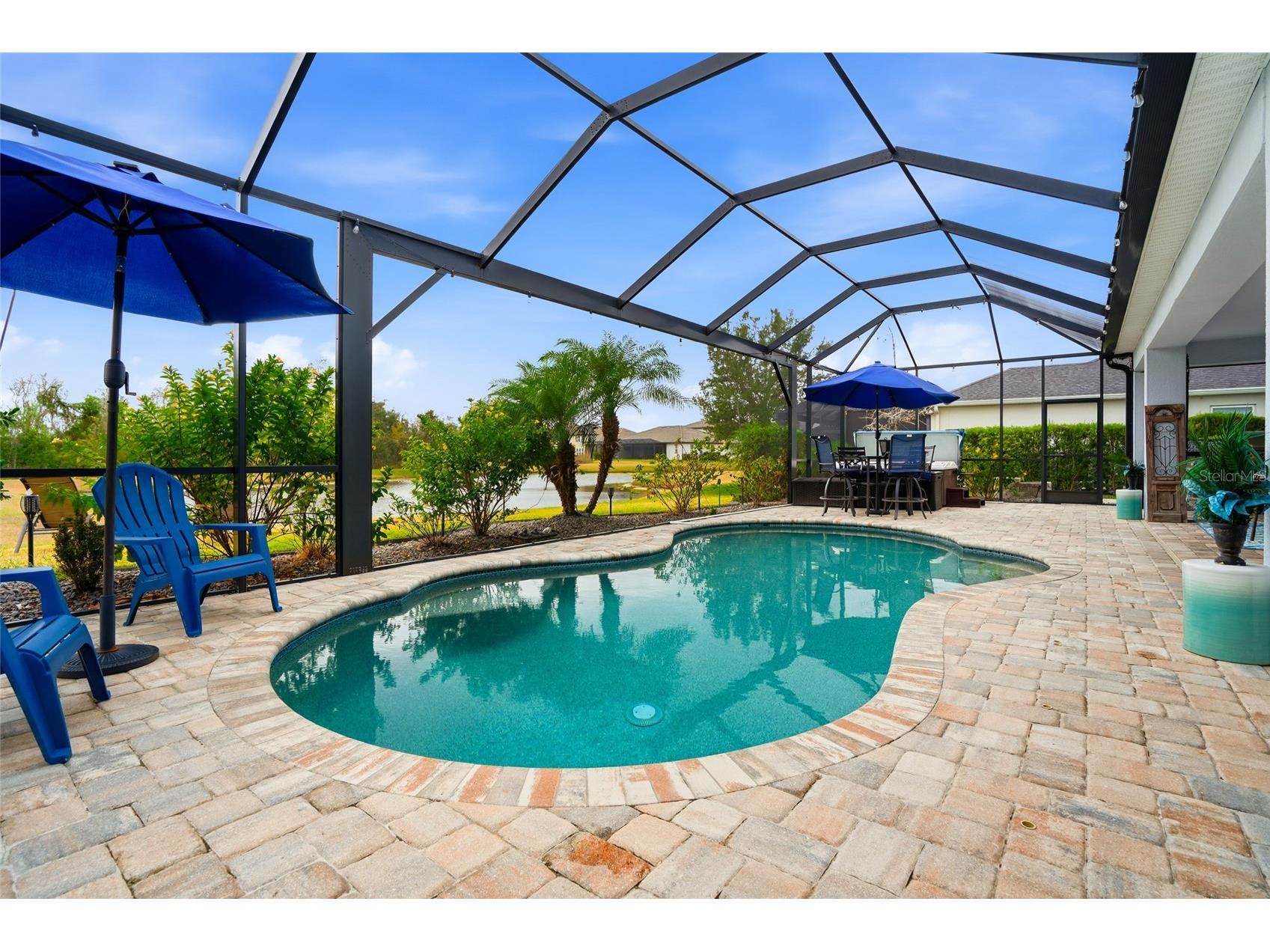 33564 Willow Point Court Wesley Chapel FL 33545 - POND TB8469746 image60
