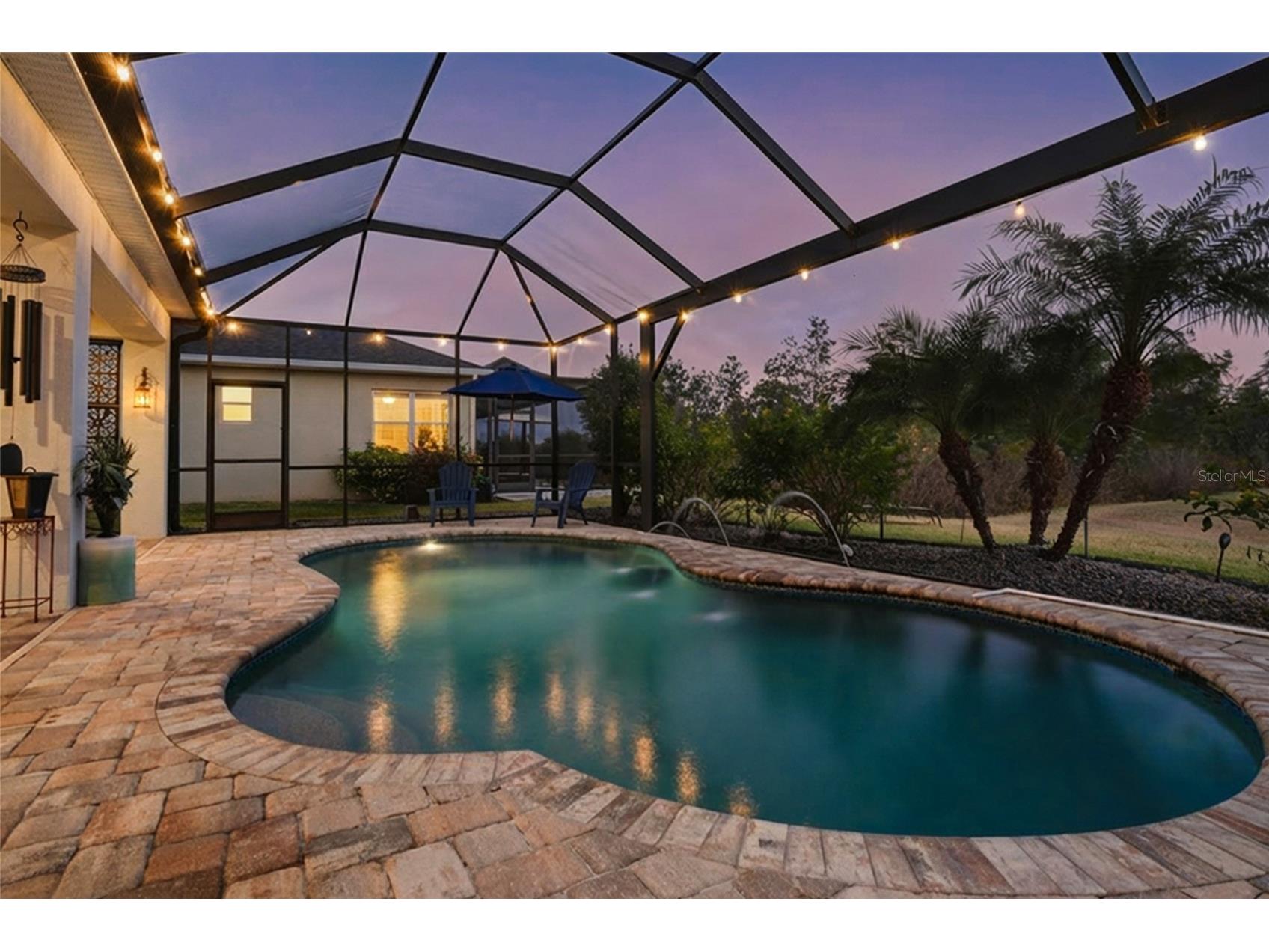 33564 Willow Point Court Wesley Chapel FL 33545 - POND TB8469746 image63