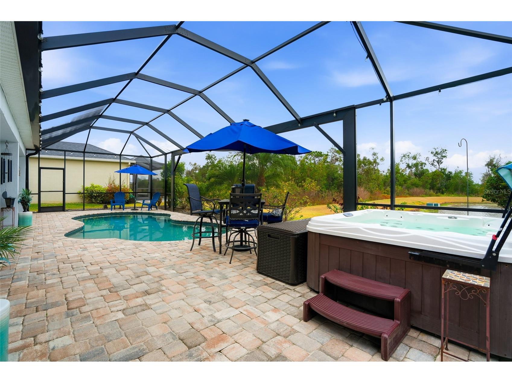 33564 Willow Point Court Wesley Chapel FL 33545 - POND TB8469746 image65