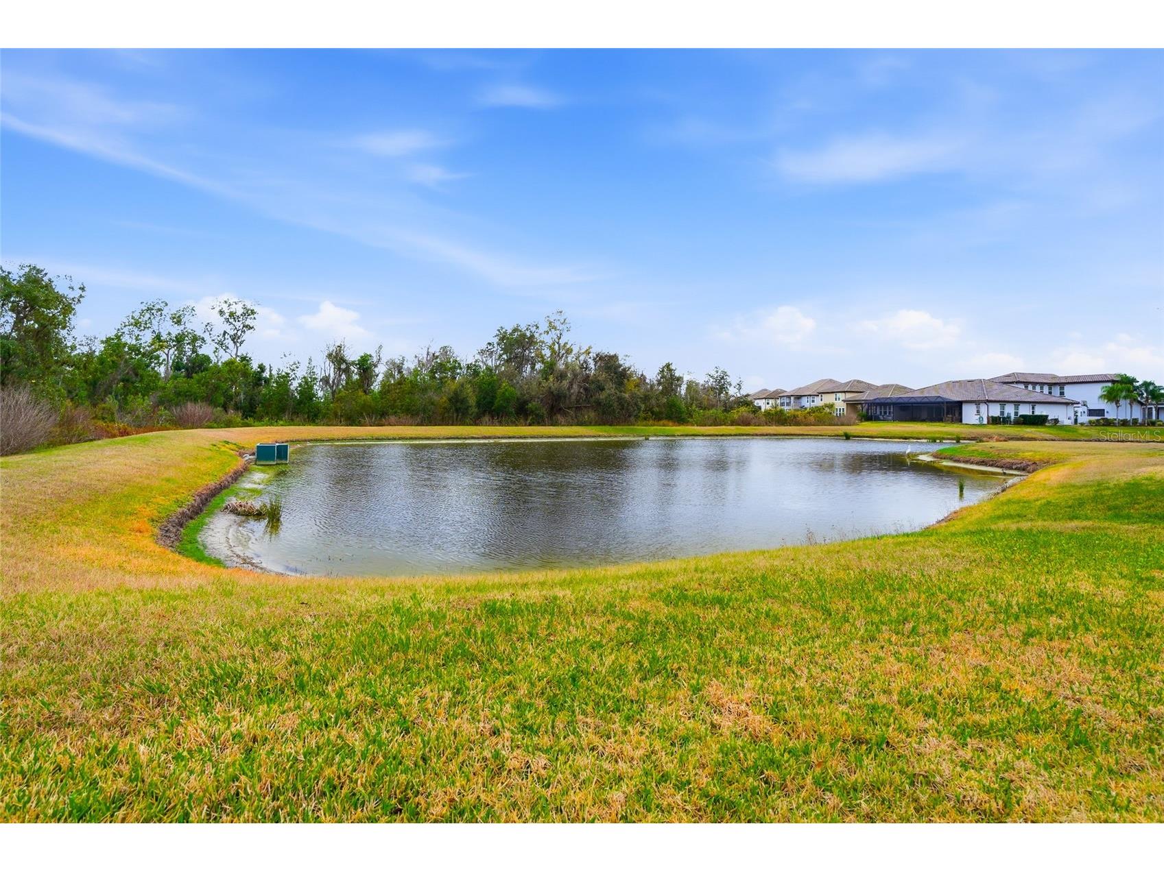 33564 Willow Point Court Wesley Chapel FL 33545 - POND TB8469746 image73