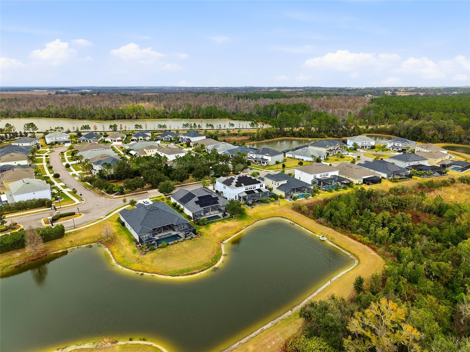 33564 Willow Point Court Wesley Chapel FL 33545 - POND TB8469746 image78