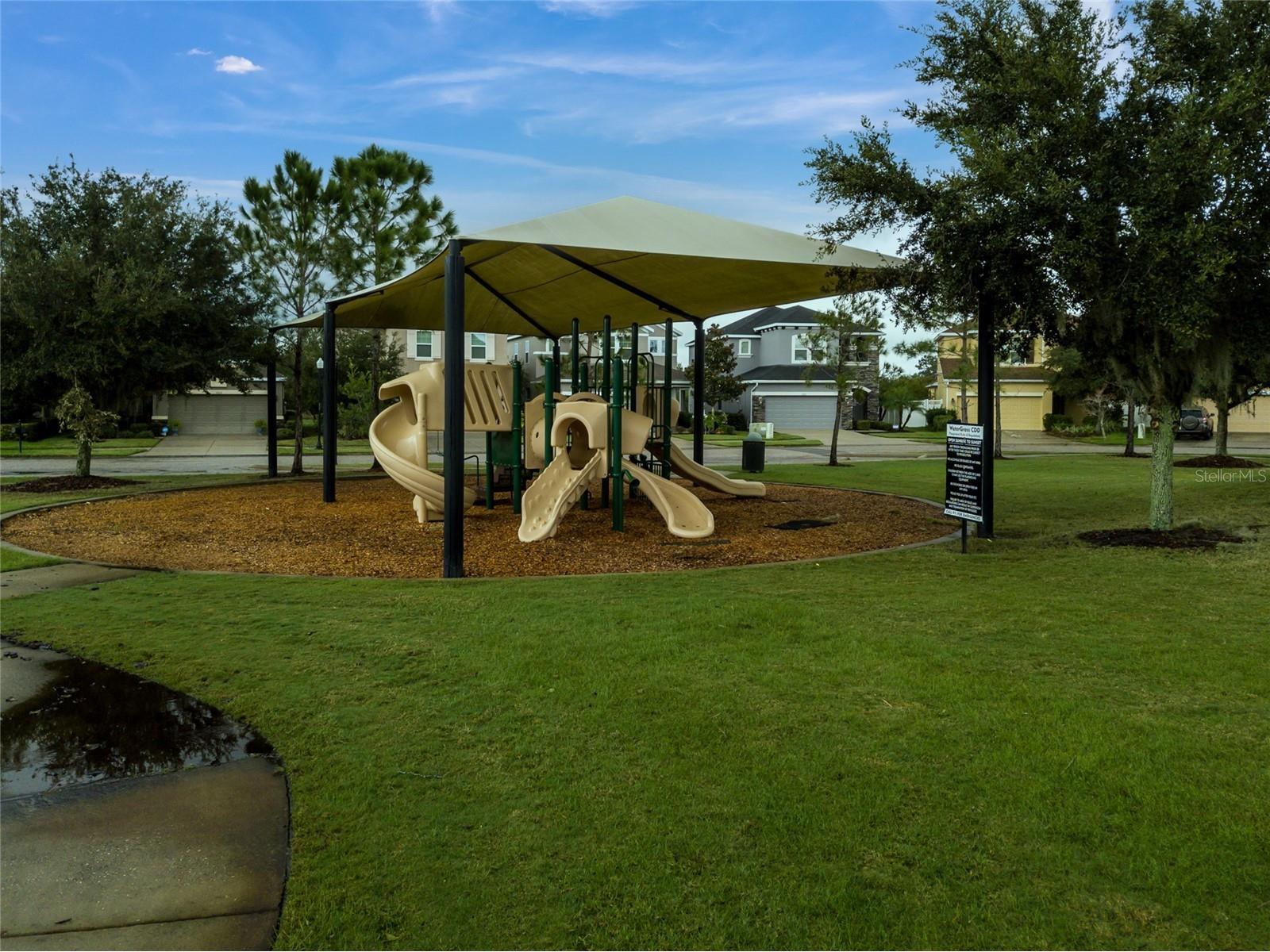 33564 Willow Point Court Wesley Chapel FL 33545 - POND TB8469746 image84