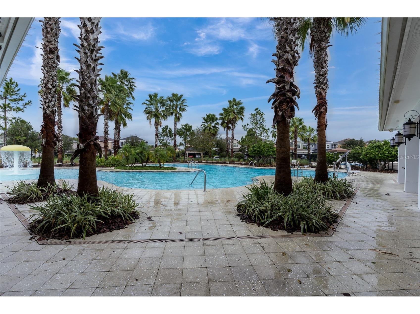 33564 Willow Point Court Wesley Chapel FL 33545 - POND TB8469746 image86