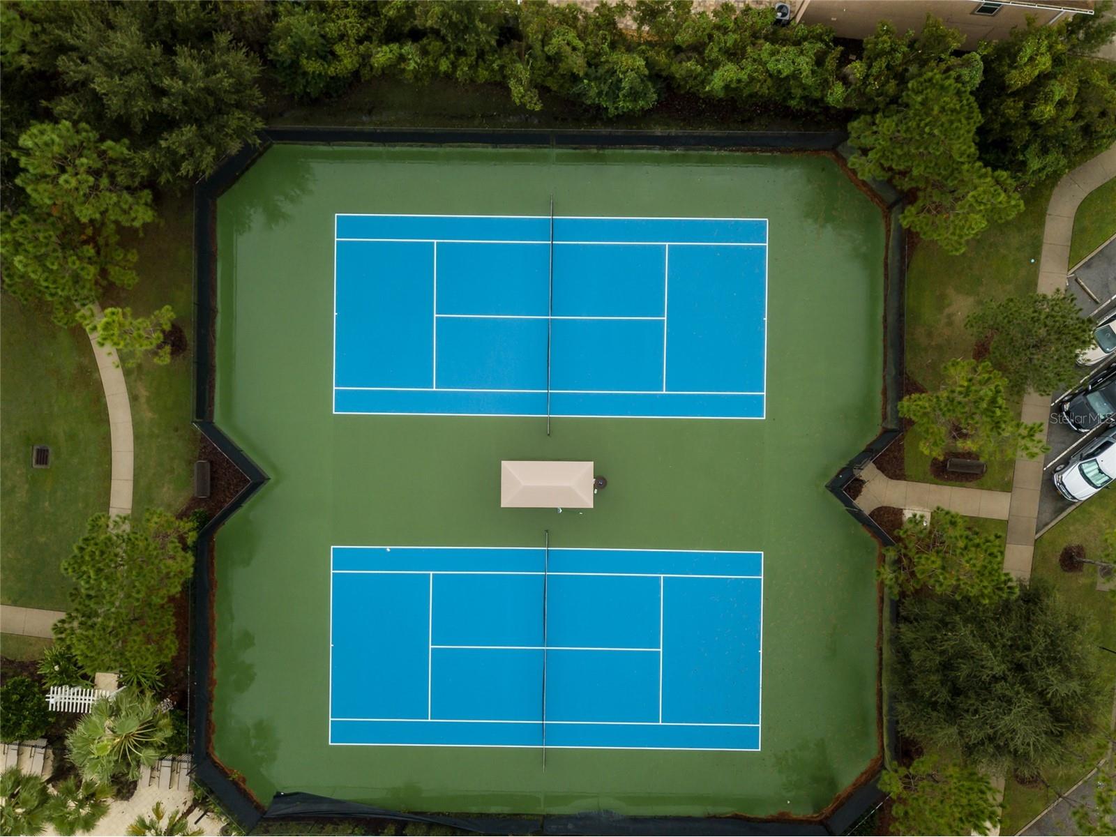 33564 Willow Point Court Wesley Chapel FL 33545 - POND TB8469746 image92