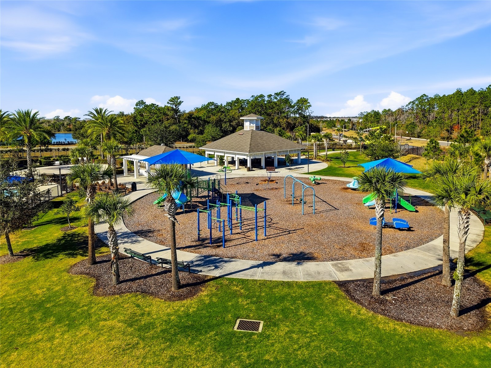 33564 Willow Point Court Wesley Chapel FL 33545 - POND TB8469746 image99