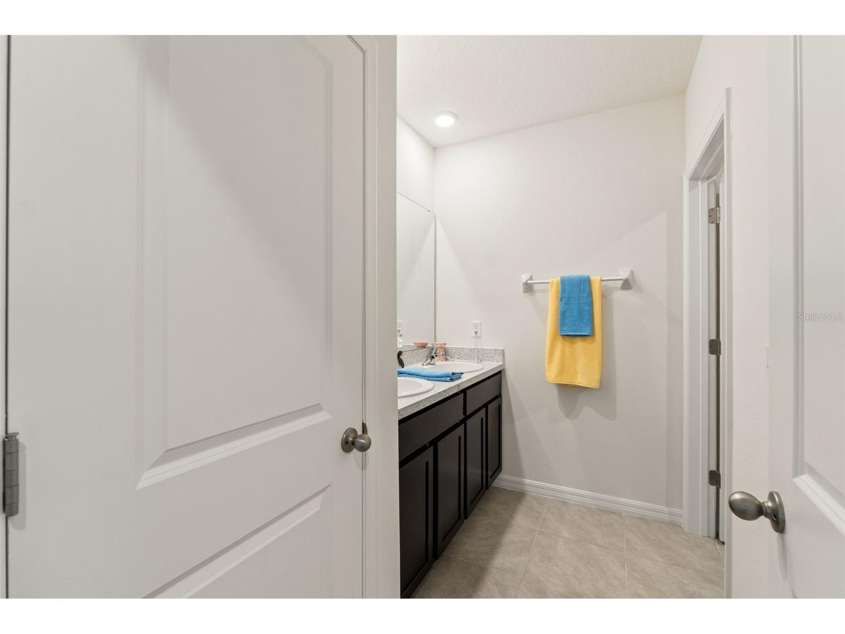 33567 Hamilton Hill Lane Wesley Chapel FL 33545 W7886498 image29