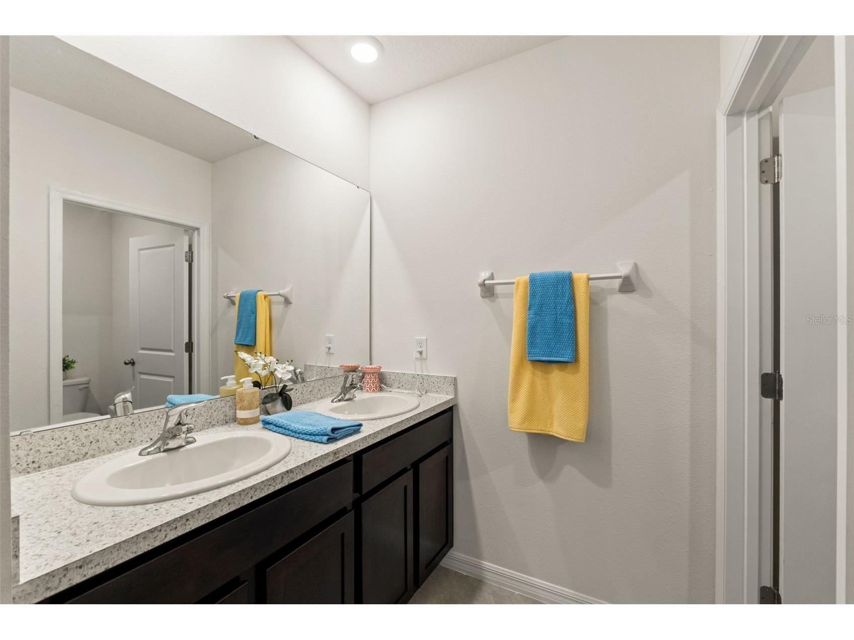33567 Hamilton Hill Lane Wesley Chapel FL 33545 W7886498 image30