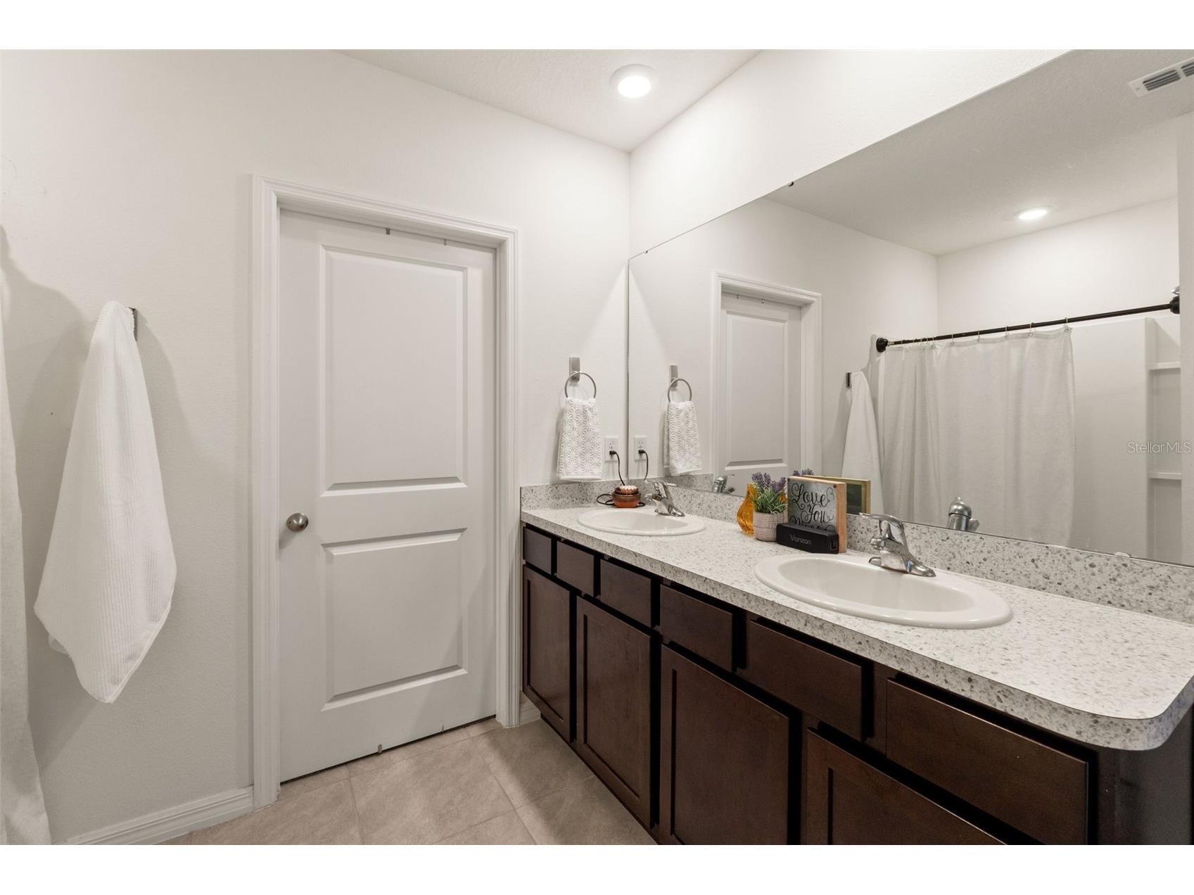 33567 Hamilton Hill Lane Wesley Chapel FL 33545 W7886498 image37