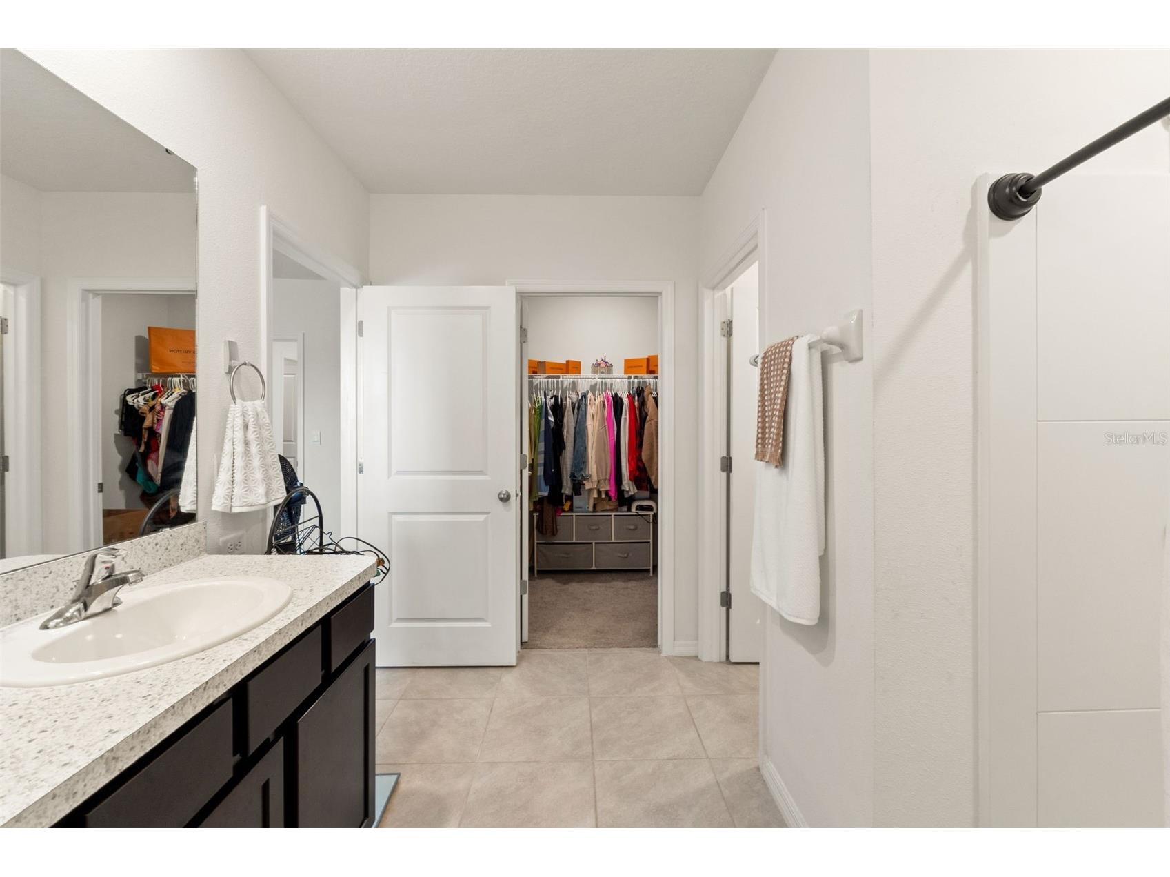 33567 Hamilton Hill Lane Wesley Chapel FL 33545 W7886498 image38