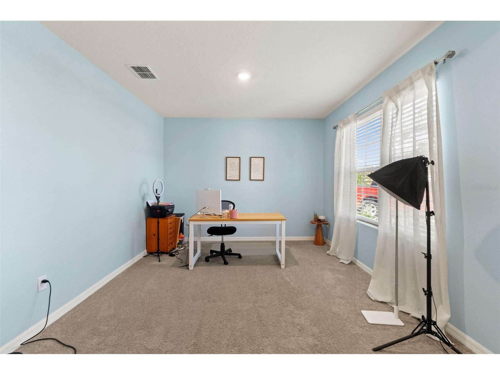 33567 Hamilton Hill Lane Wesley Chapel FL 33545 W7886498 image4