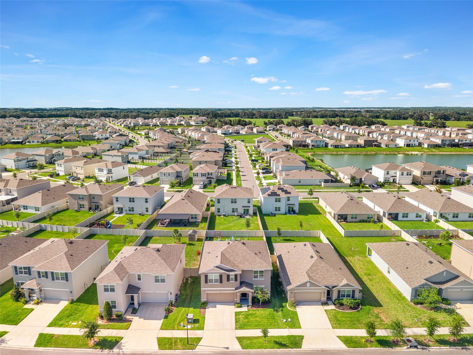 33567 Hamilton Hill Lane Wesley Chapel FL 33545 W7886498 image40