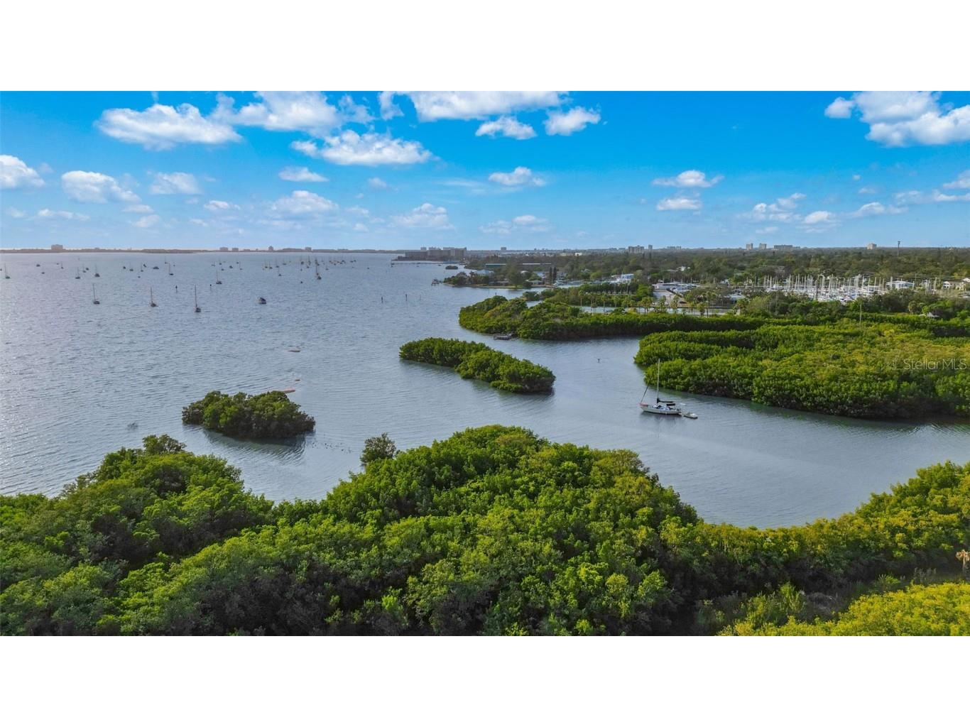 3357 38th Street #B Saint Petersburg FL 33711 TB8453305 image44