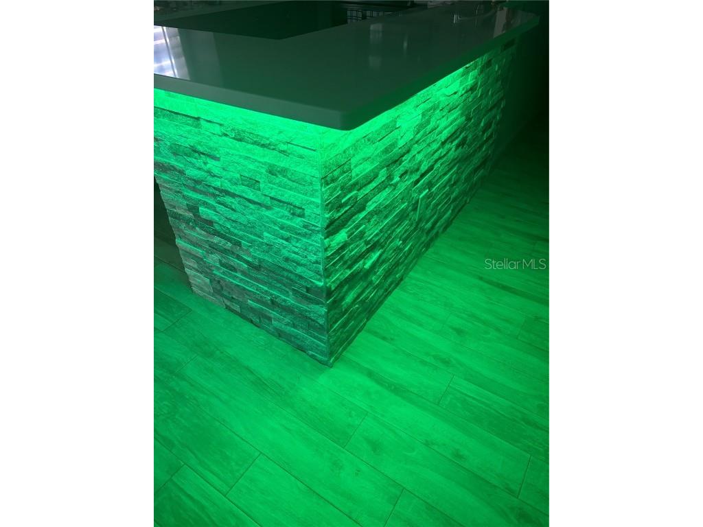 3357 38th Street S #A Saint Petersburg FL 33711 - CLAM BAYOU U8240013 image10