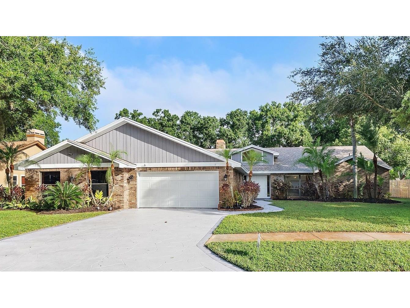3357 Pattie Place Palm Harbor FL 34685 TB8435728 image1