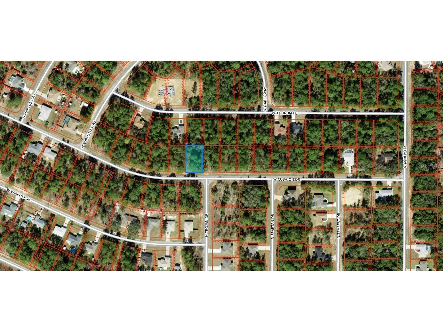 3357 W Cushion Drive Citrus Springs FL 34433 D6143057 image1