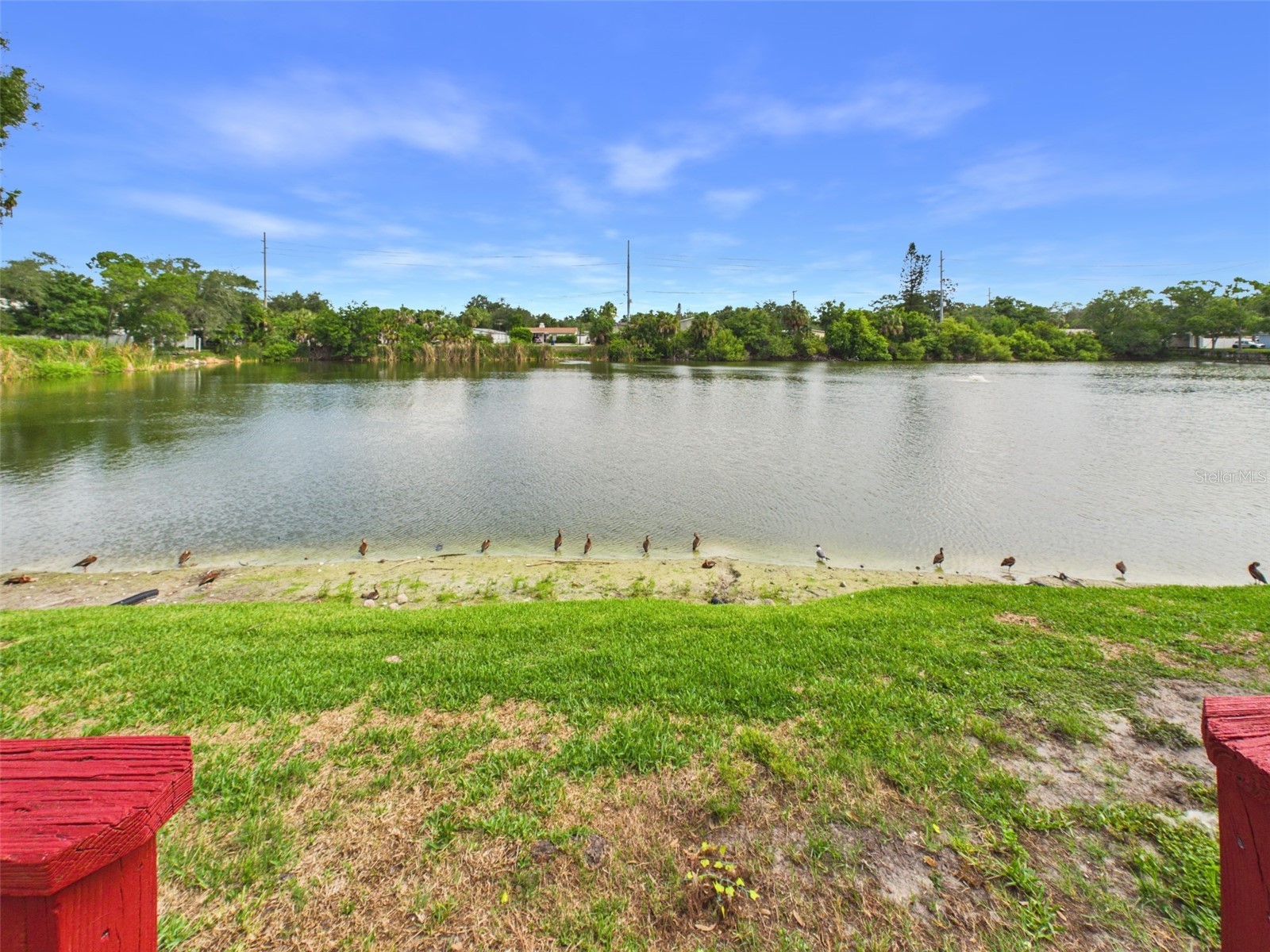 3357 W Wyoming Circle #3-5 Tampa FL 33611 TB8515627 image8