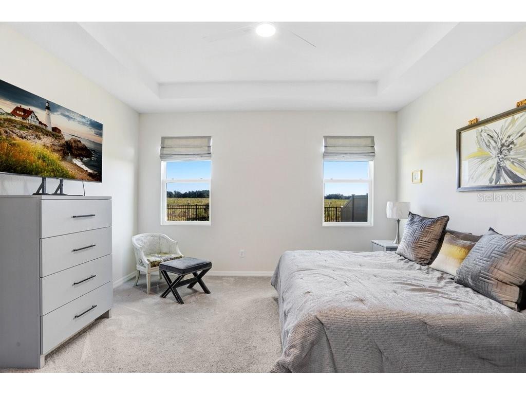 33570 Darley Dale Trail Wesley Chapel FL 33545 TB8451111 image24