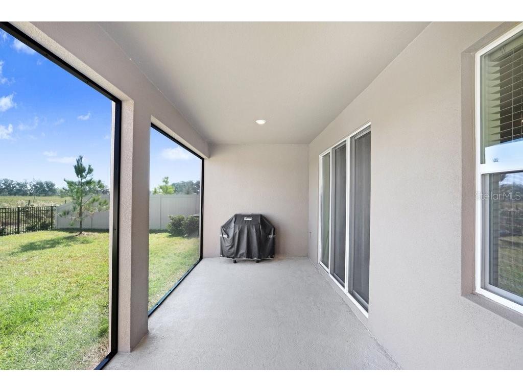 33570 Darley Dale Trail Wesley Chapel FL 33545 TB8451111 image29