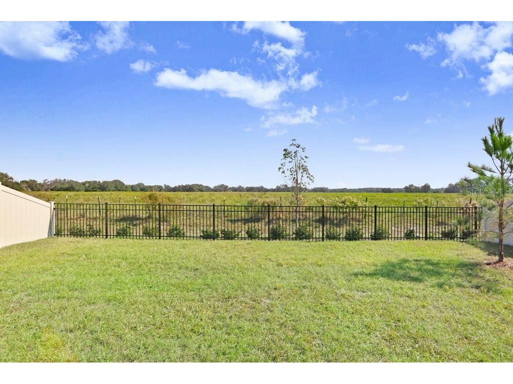 33570 Darley Dale Trail Wesley Chapel FL 33545 TB8451111 image30