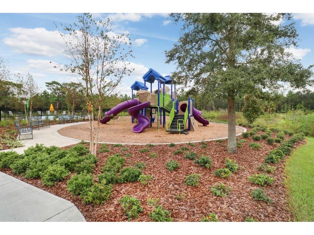 33570 Darley Dale Trail Wesley Chapel FL 33545 TB8451111 image34